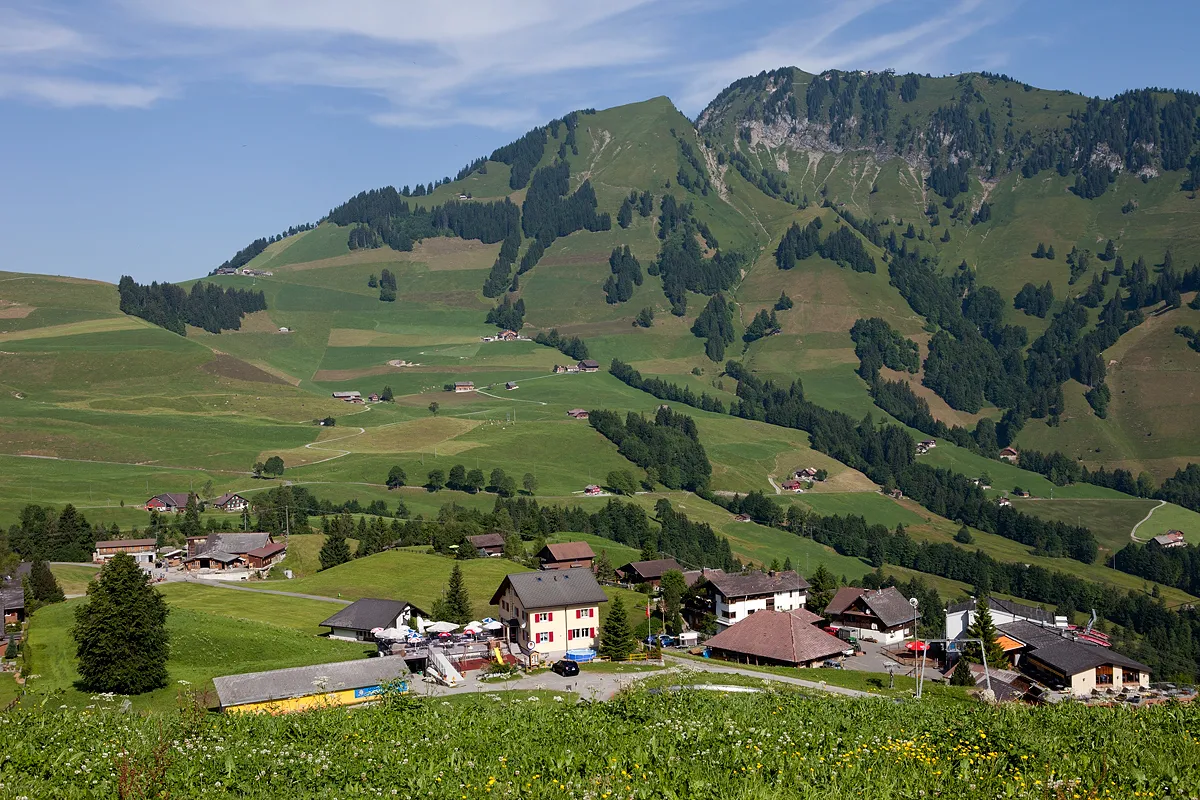 The green walking area of Wirzweli above Dallenwil in summer, with the mountains behind.