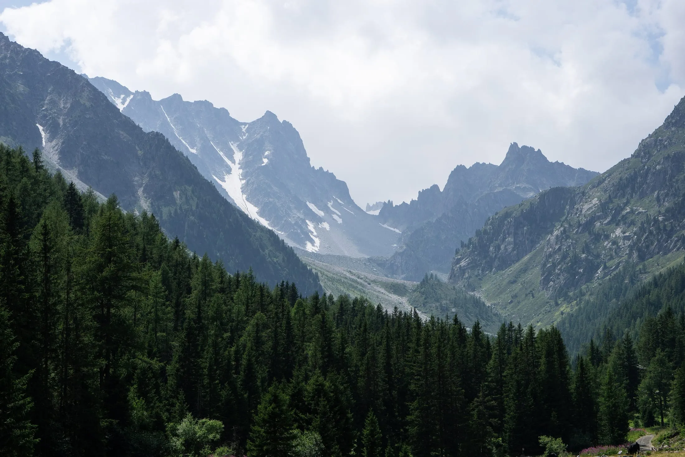 View up the Val d'Arpette to the granite spires of the Pointe des Ecandies, in summer.