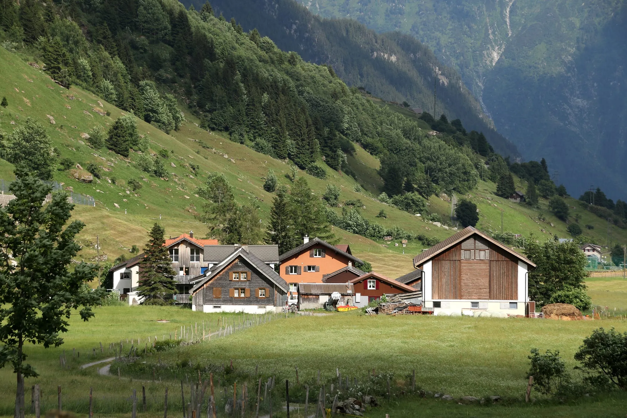 Fürlauwi in the Meiental below the Trotzigplanggstock, in early summer.