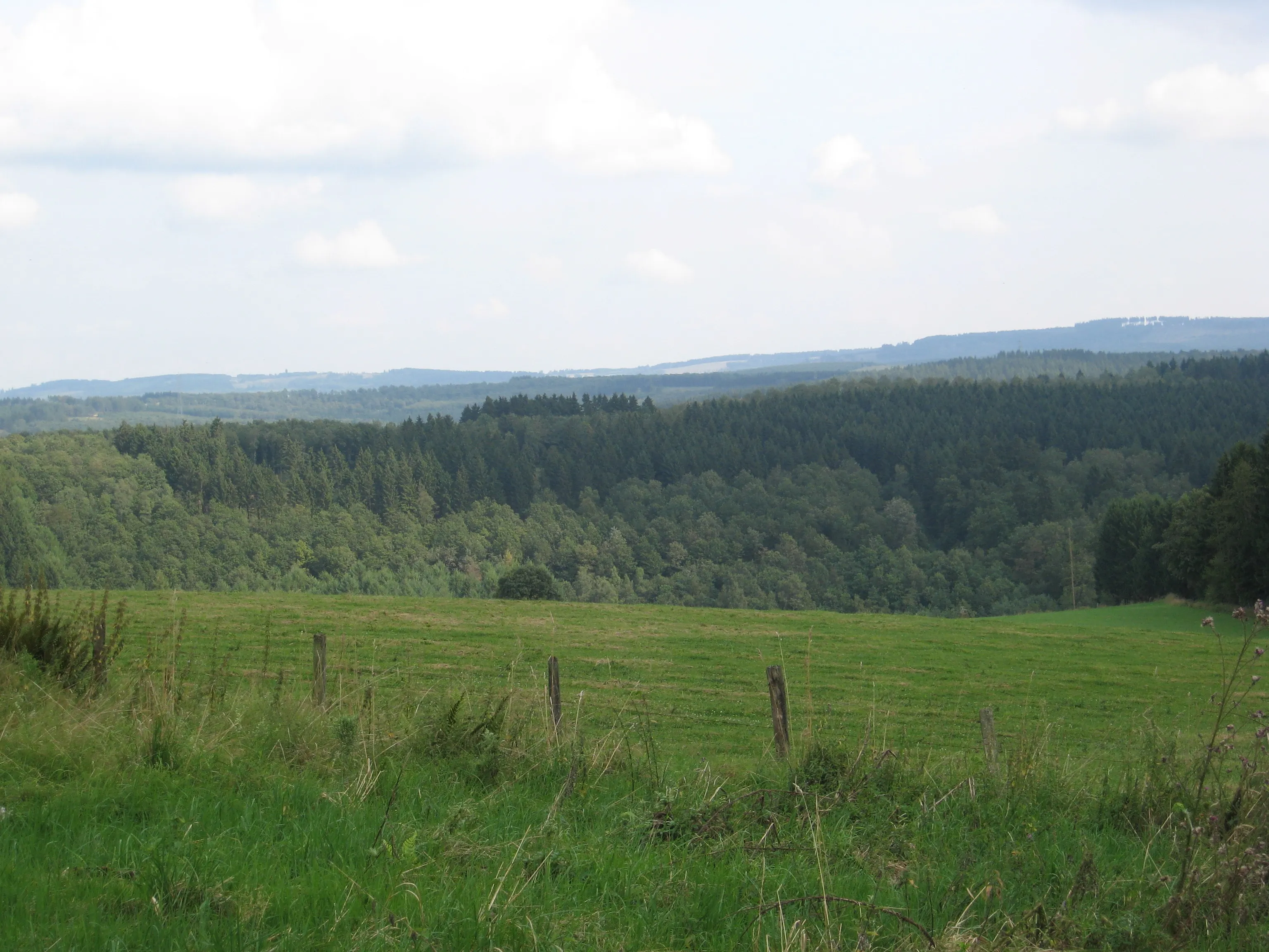 The wooded ridges of the Siegerland, in summer.