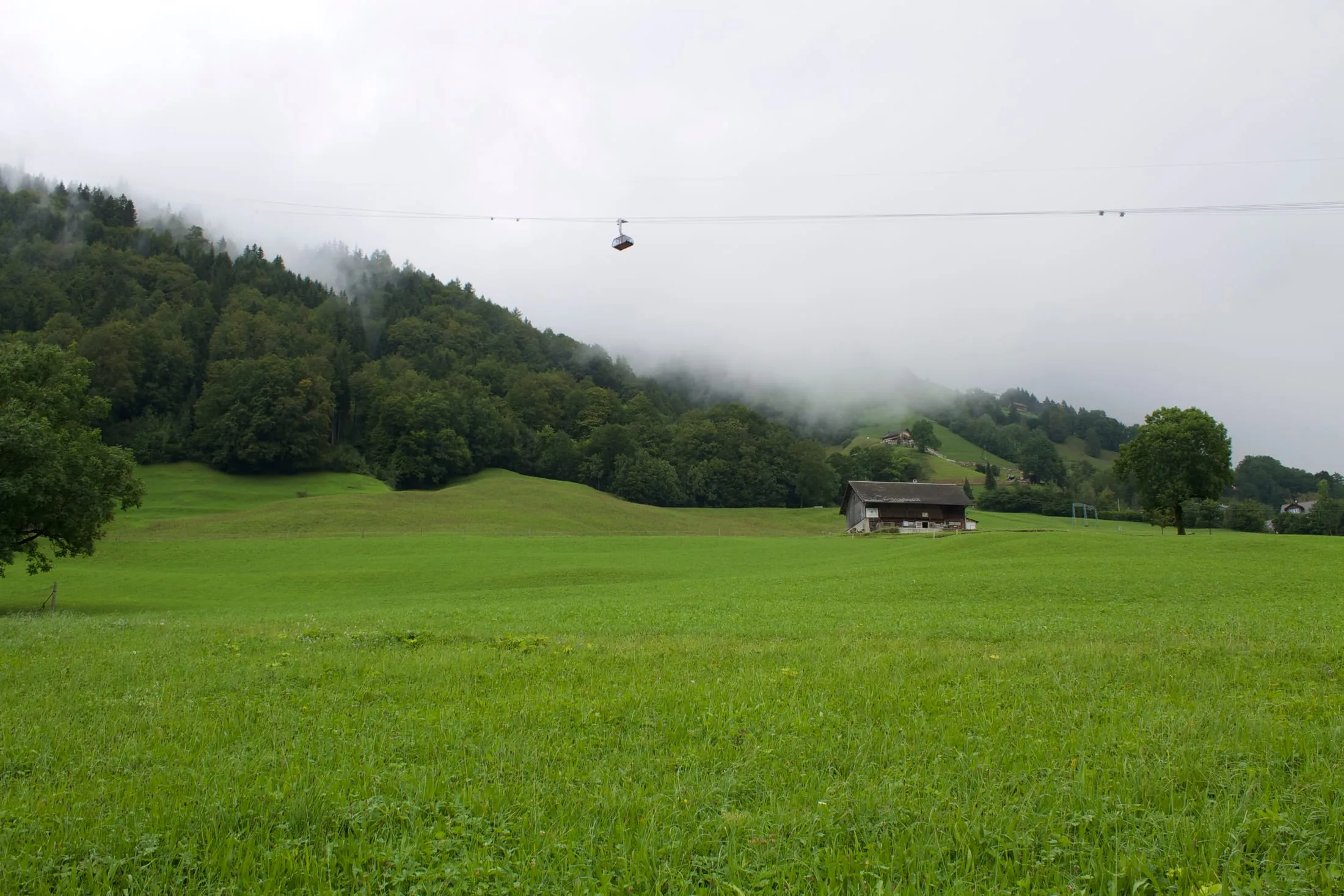 Green summer meadow with a barn near Engelberg; above it the Brunni–Ristis cable car glides into the mist over the forested slope.