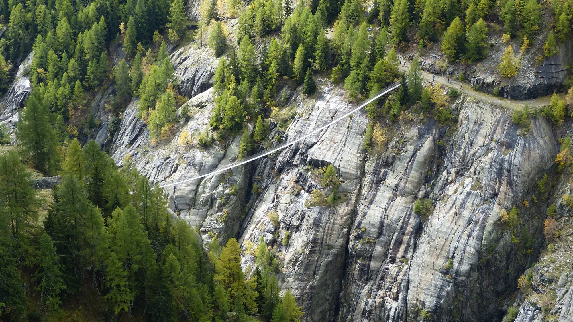 The Aspi-Titter suspension bridge crossing a deep side valley of the Fieschertal near Bellwald.