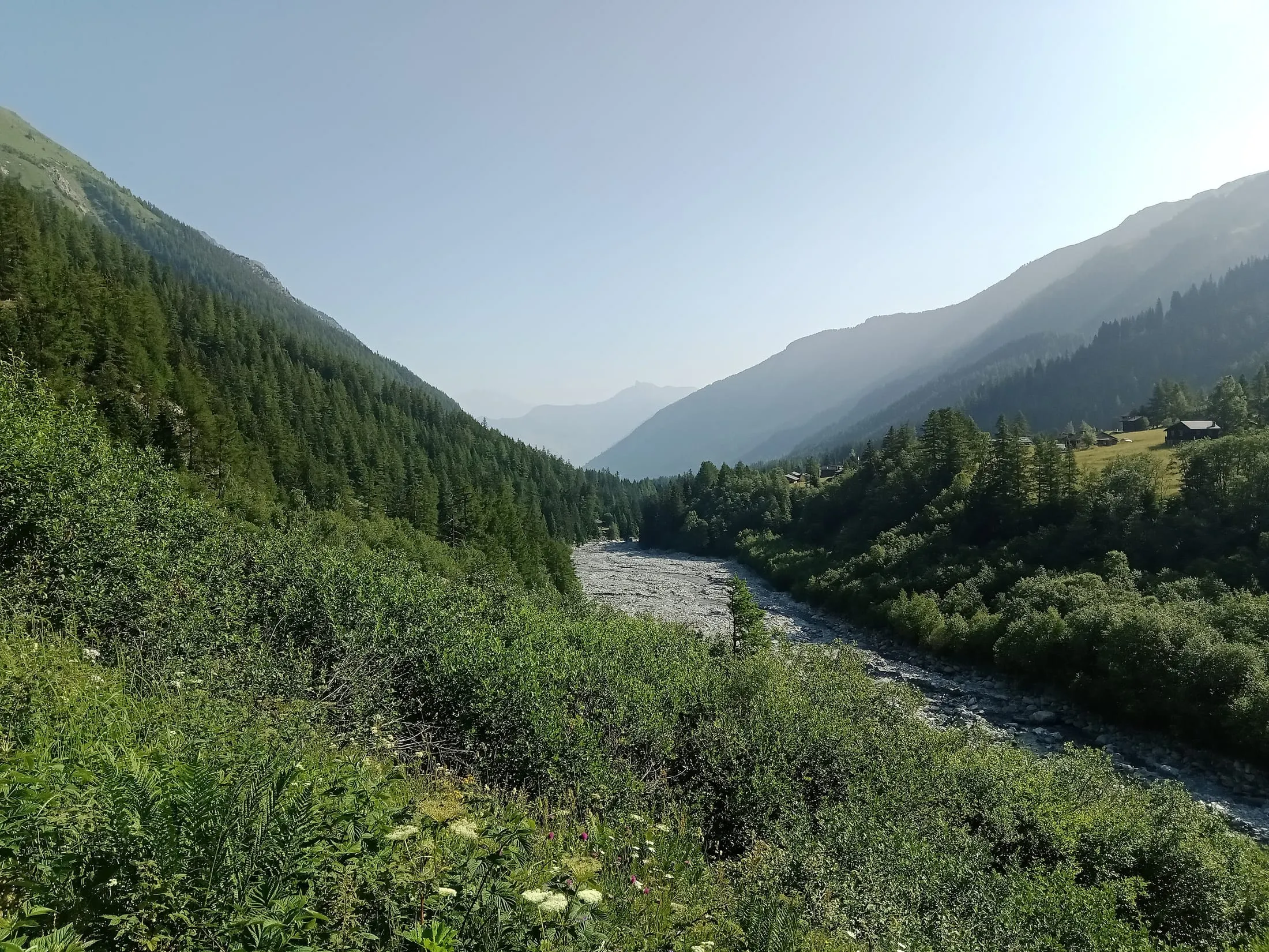 The Swiss Val Ferret near Prayon, in early summer.