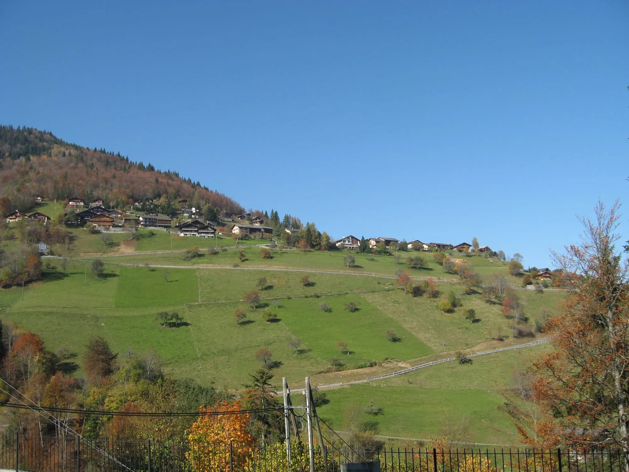 Alpine hamlet of Torgon on green summer pastures above the Rhône valley, seen from Revereulaz.