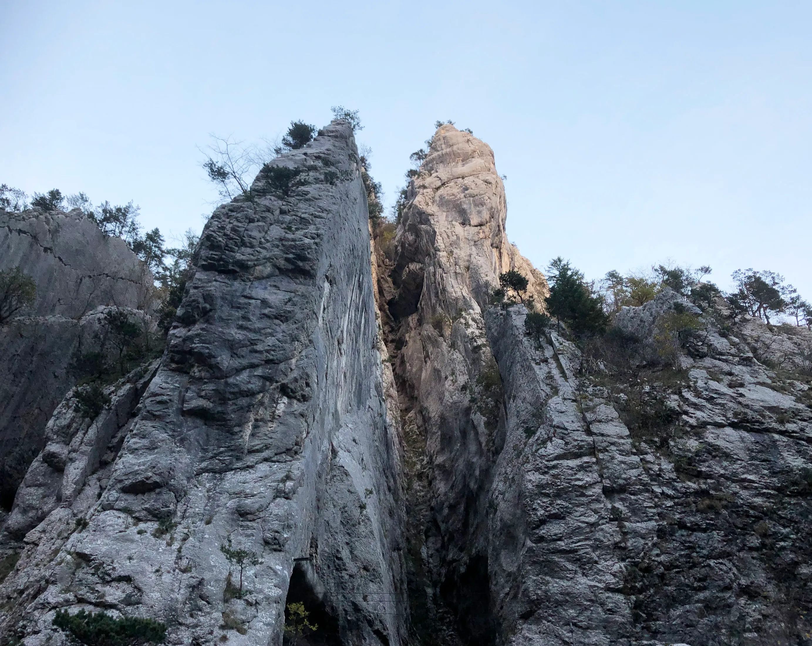 Slim limestone ribs rising out of the wooded wall of the Moutier gorge in the Jura.