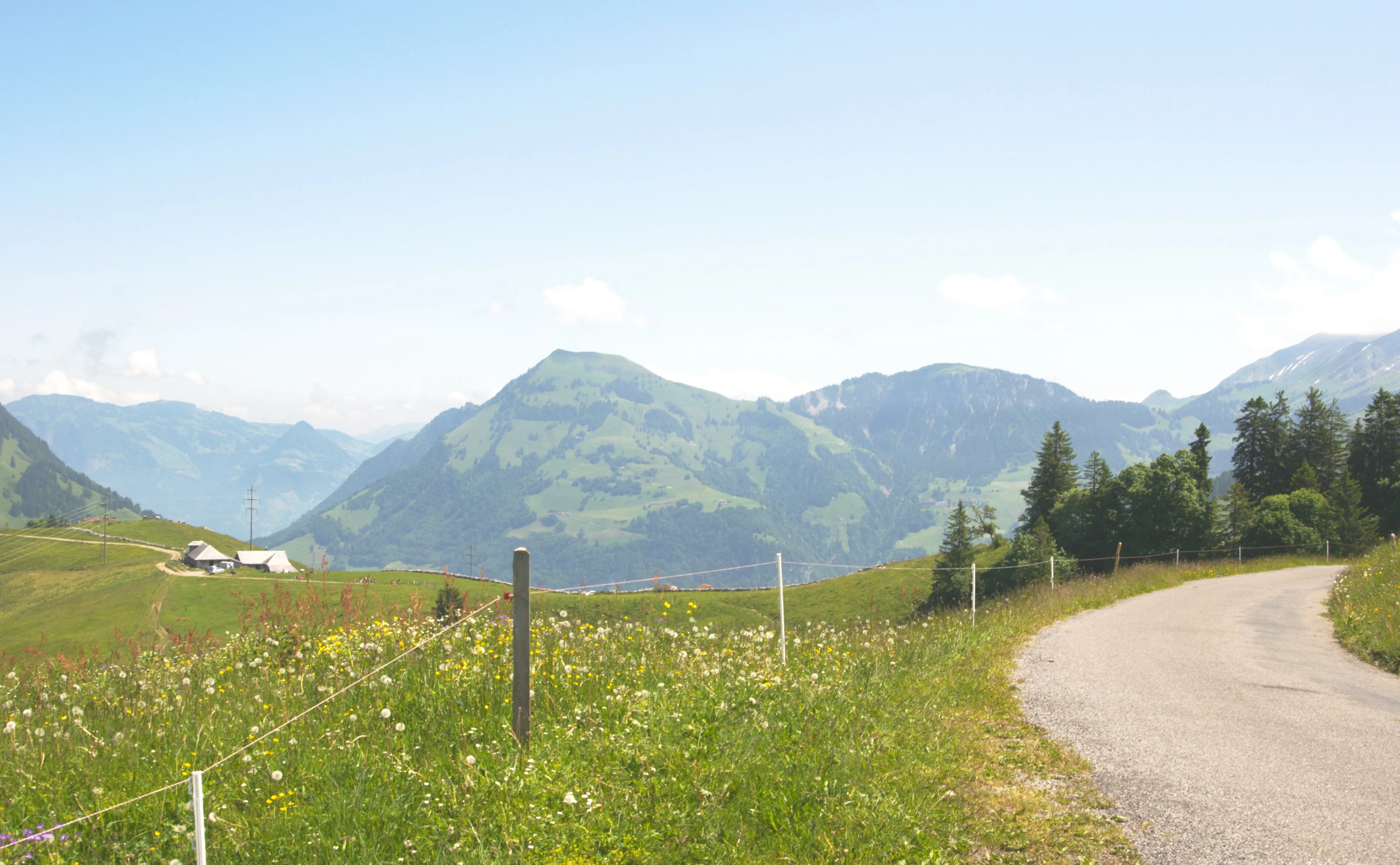 The green Buochserhorn from the Ächerli pass, a flowering summer meadow in the foreground.