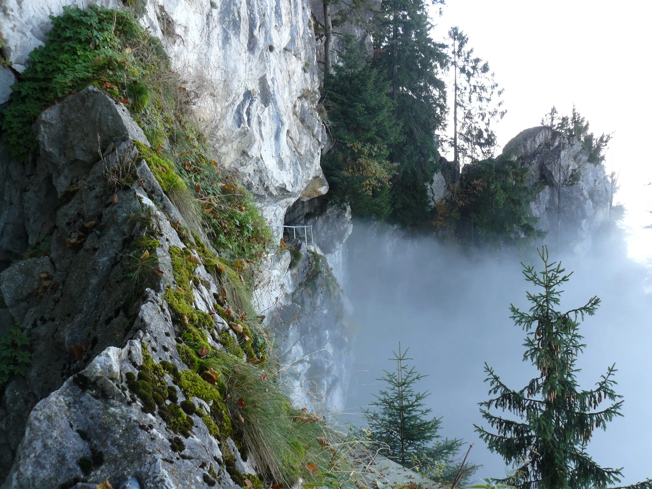 The Felsenweg cut into the cliff of the Bürgenstock, high above Lake Lucerne shrouded in mist.