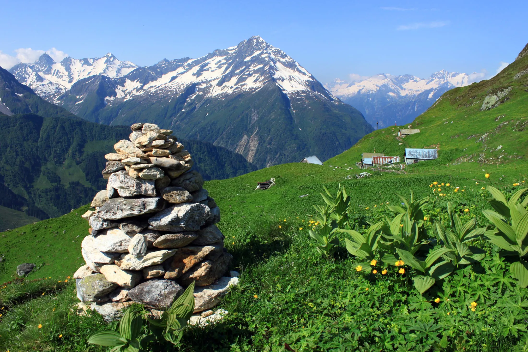 The Bristen (3073 m) above the Maderanertal, with a cairn and a flowering alpine meadow on the Bernetsmatt alp.