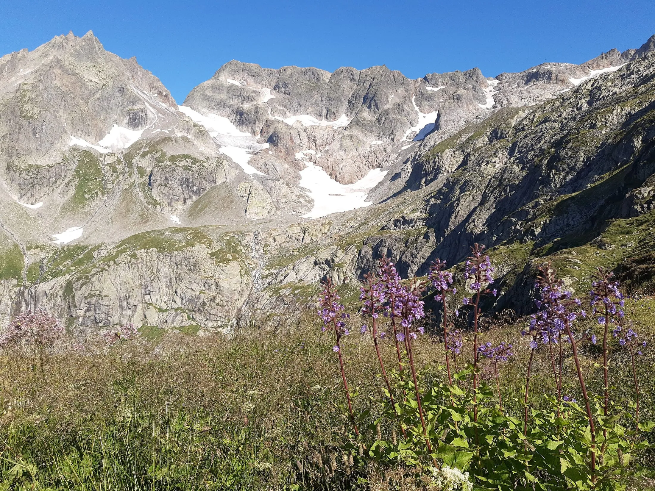 Granite walls and glaciers above the Sustli hut in the Susten area, in summer.