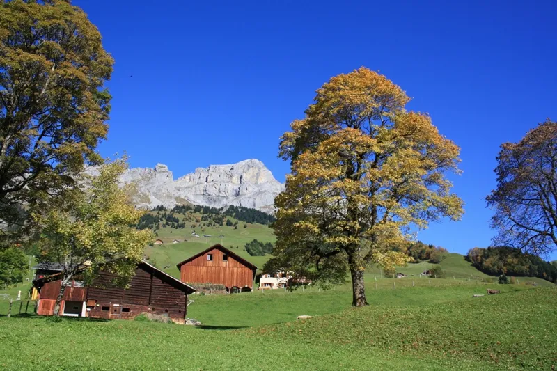 Autumn light in the Schächental near Unterschächen, below the Schächentaler Windgällen.