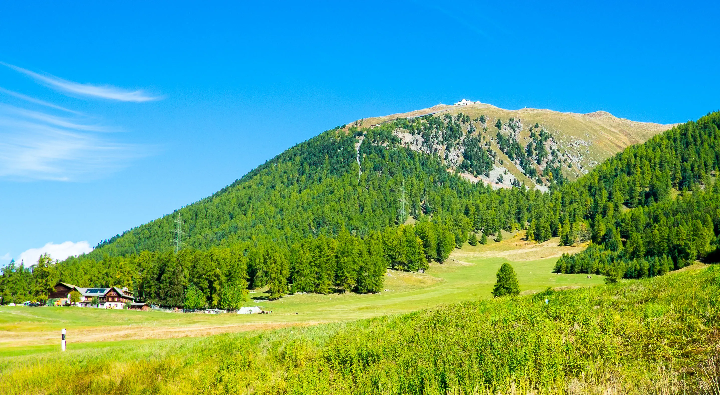 The forested hill of Muottas Muragl with the mountain hotel on top, above summer-green meadows in the Upper Engadine.
