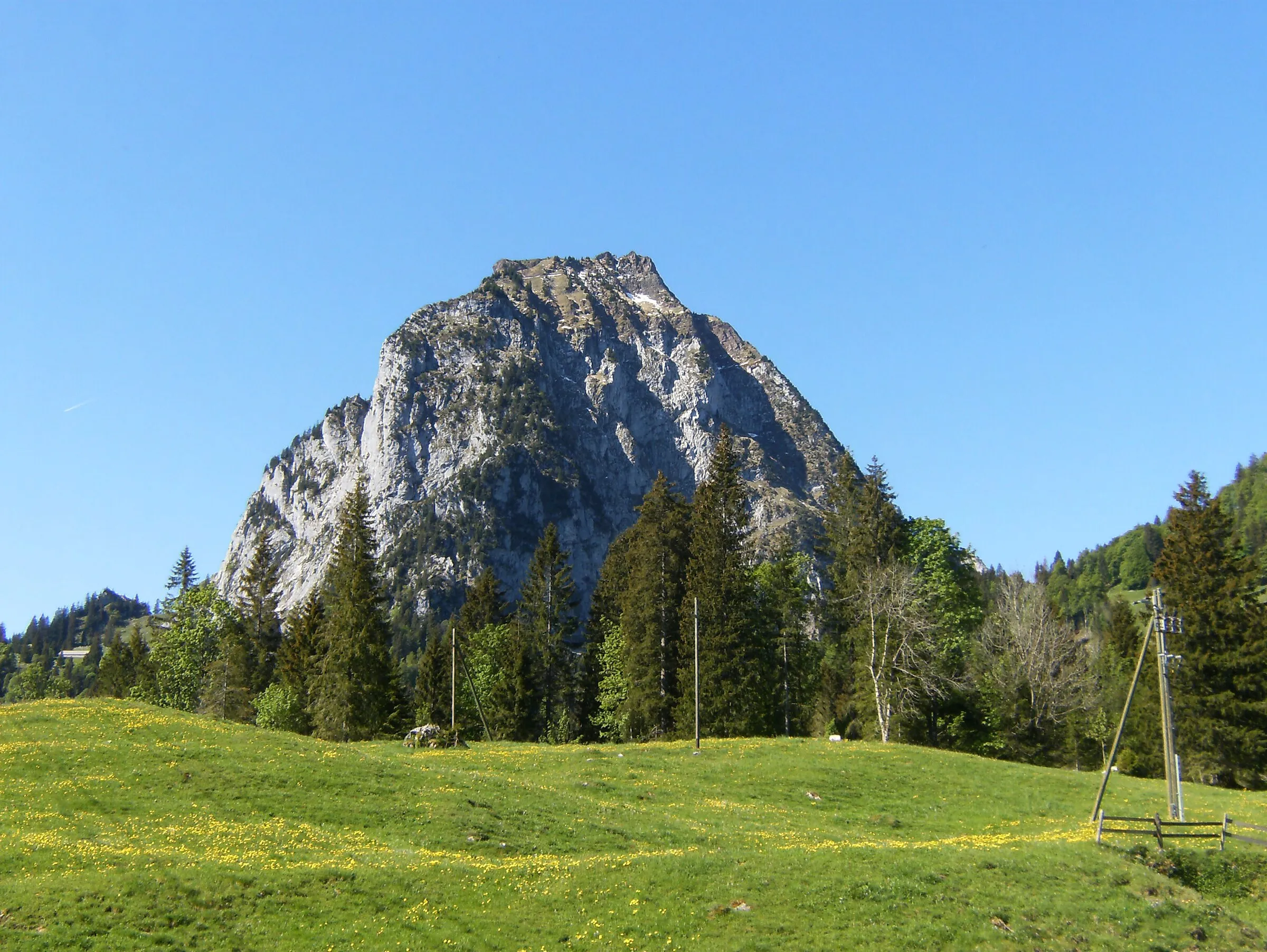 The pale limestone wall of the Grosse Mythen above green spring meadows, seen from the valley floor near Brunni.