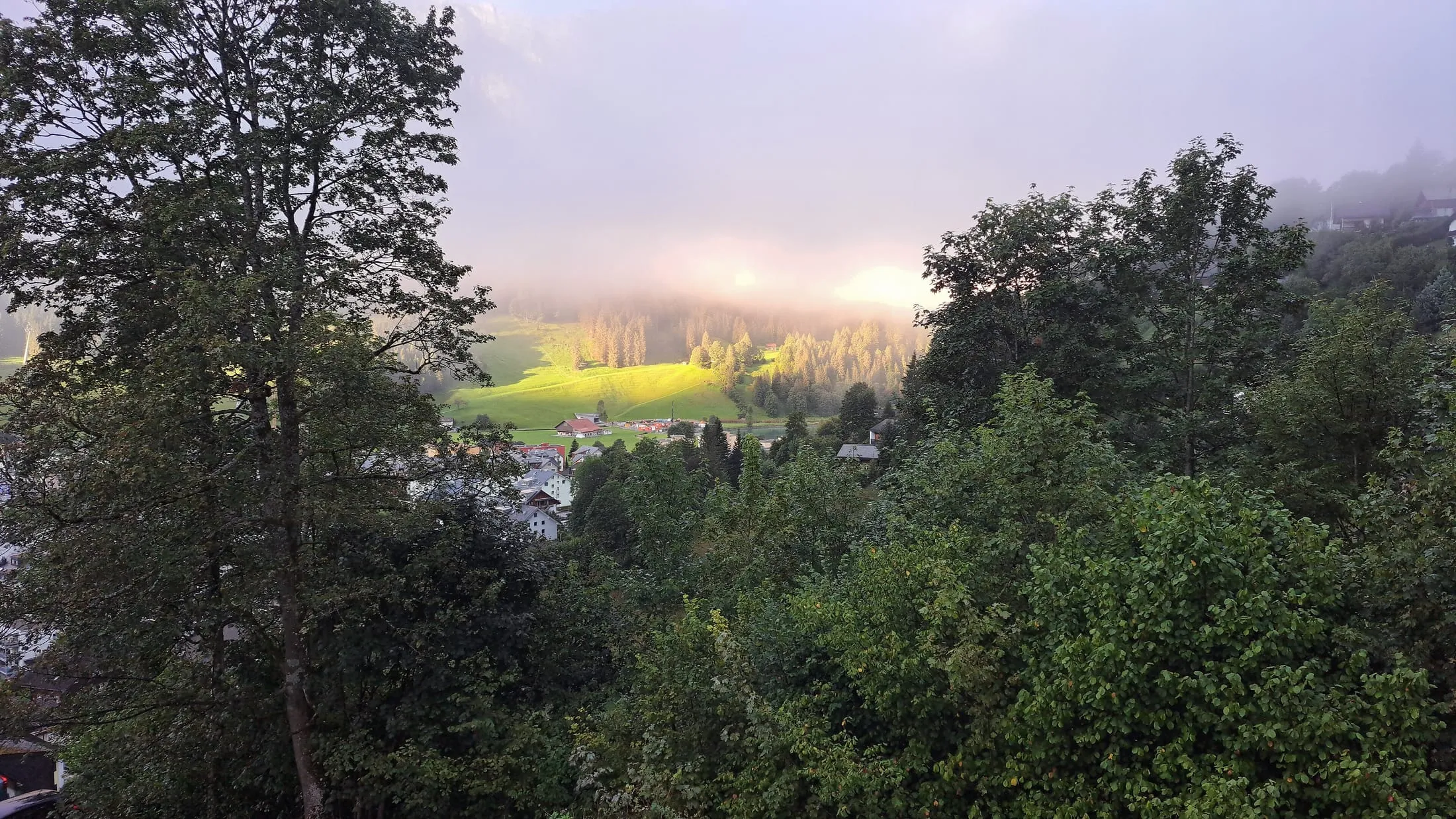 Evening light over the woods and meadows of Engelberg, in late summer.