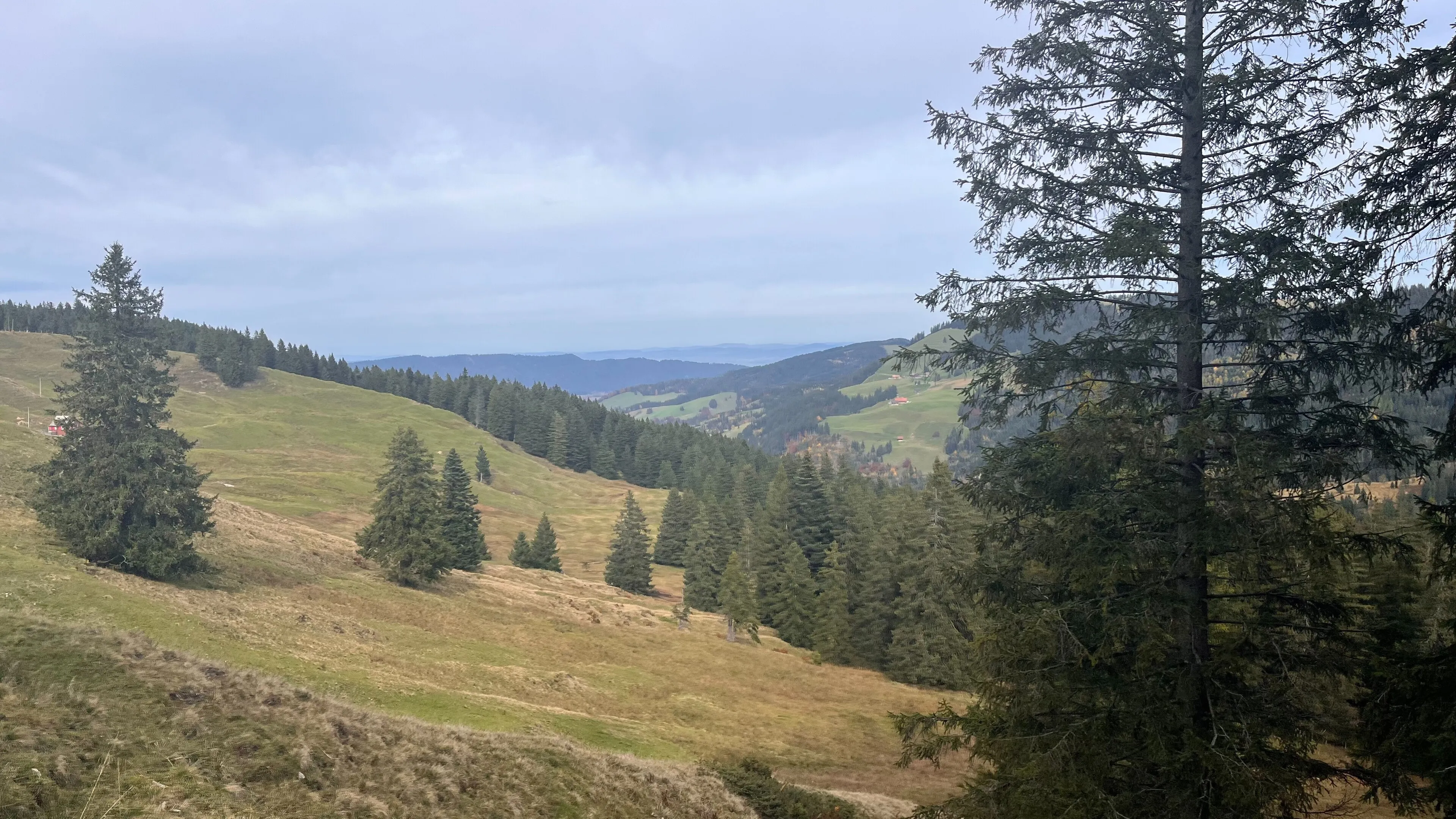 Gentle pre-alpine landscape near Mostelberg on Sattel-Hochstuckli, with the Bannegg fen.