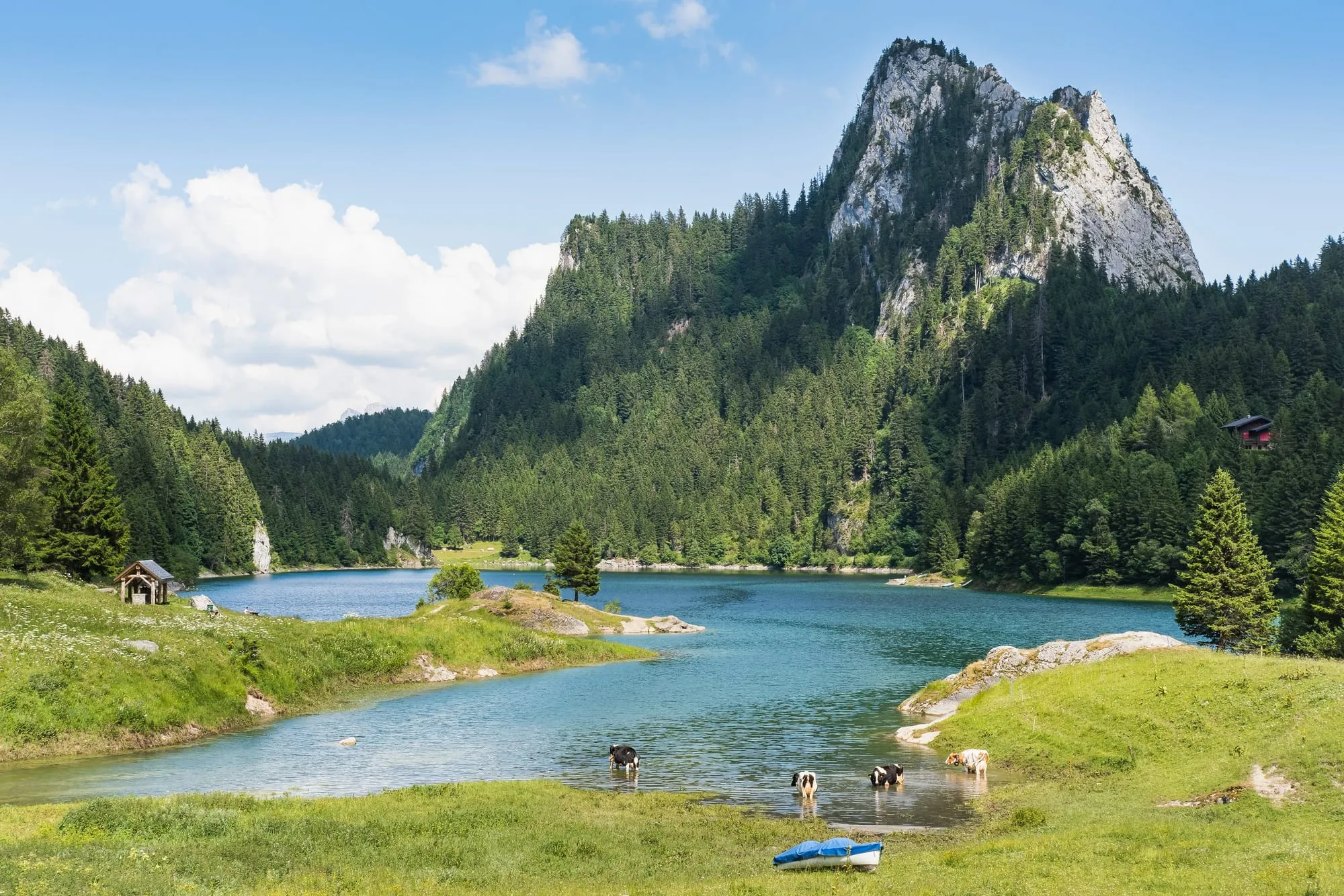 Lac de Taney seen from the hamlet of Taney, with pine forest and mountain slopes ringing the lake in summer.