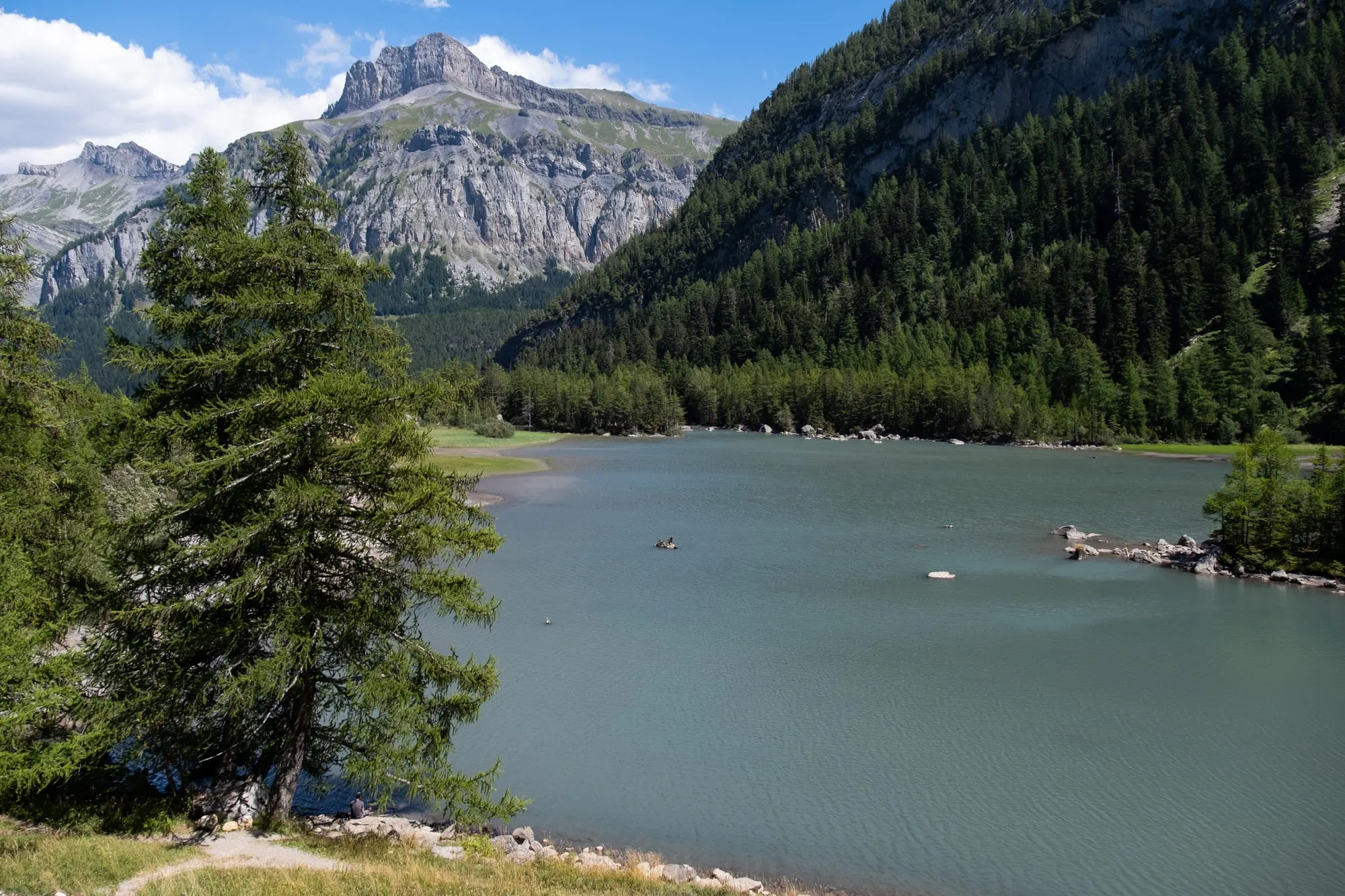 The still Lac de Derborence ringed by boulder-strewn forest, formed by the Diablerets landslide.