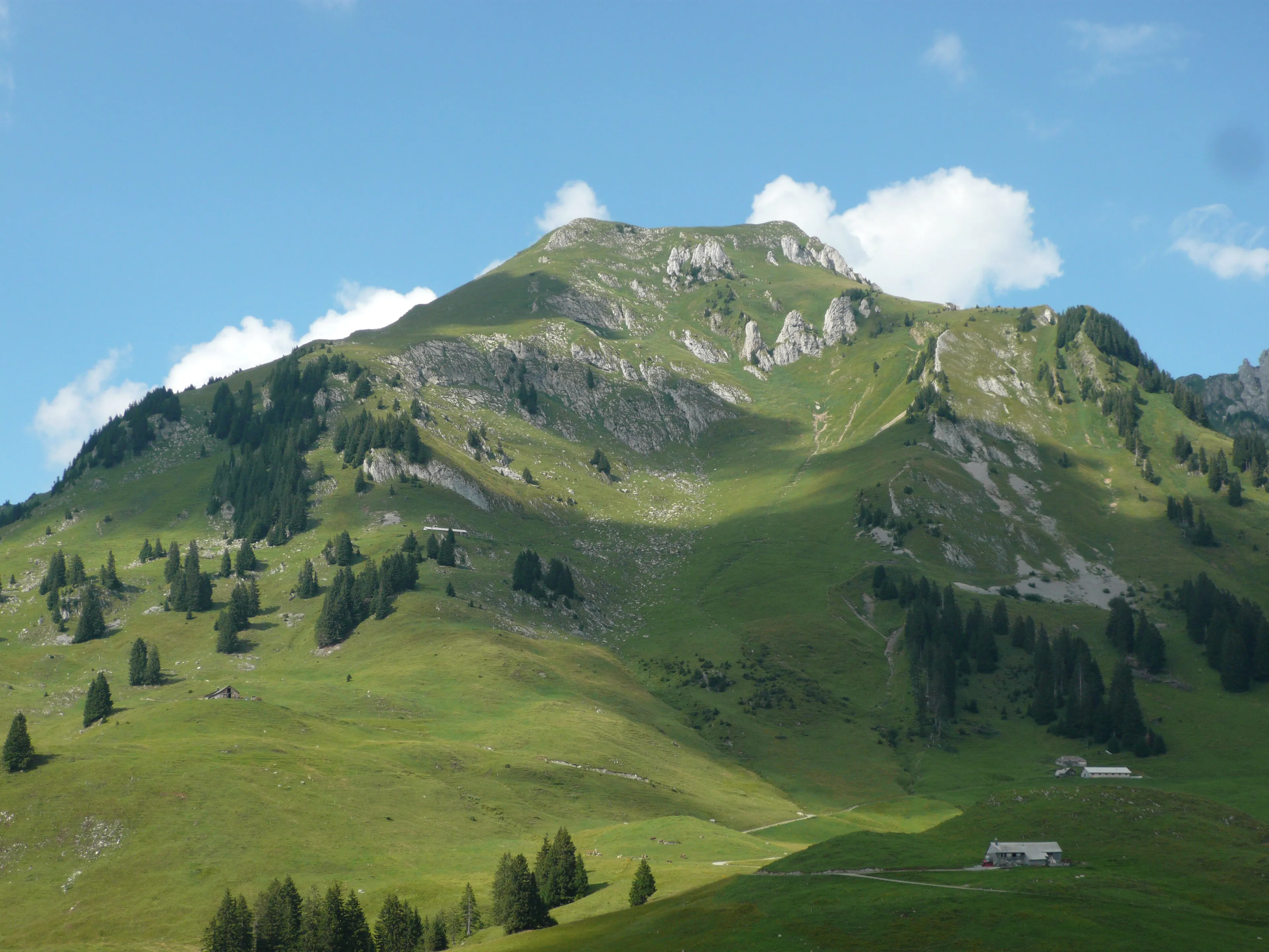 The Lütispitz (1987 m) in the Alpstein, a green grassy summit above alpine pastures in summer.