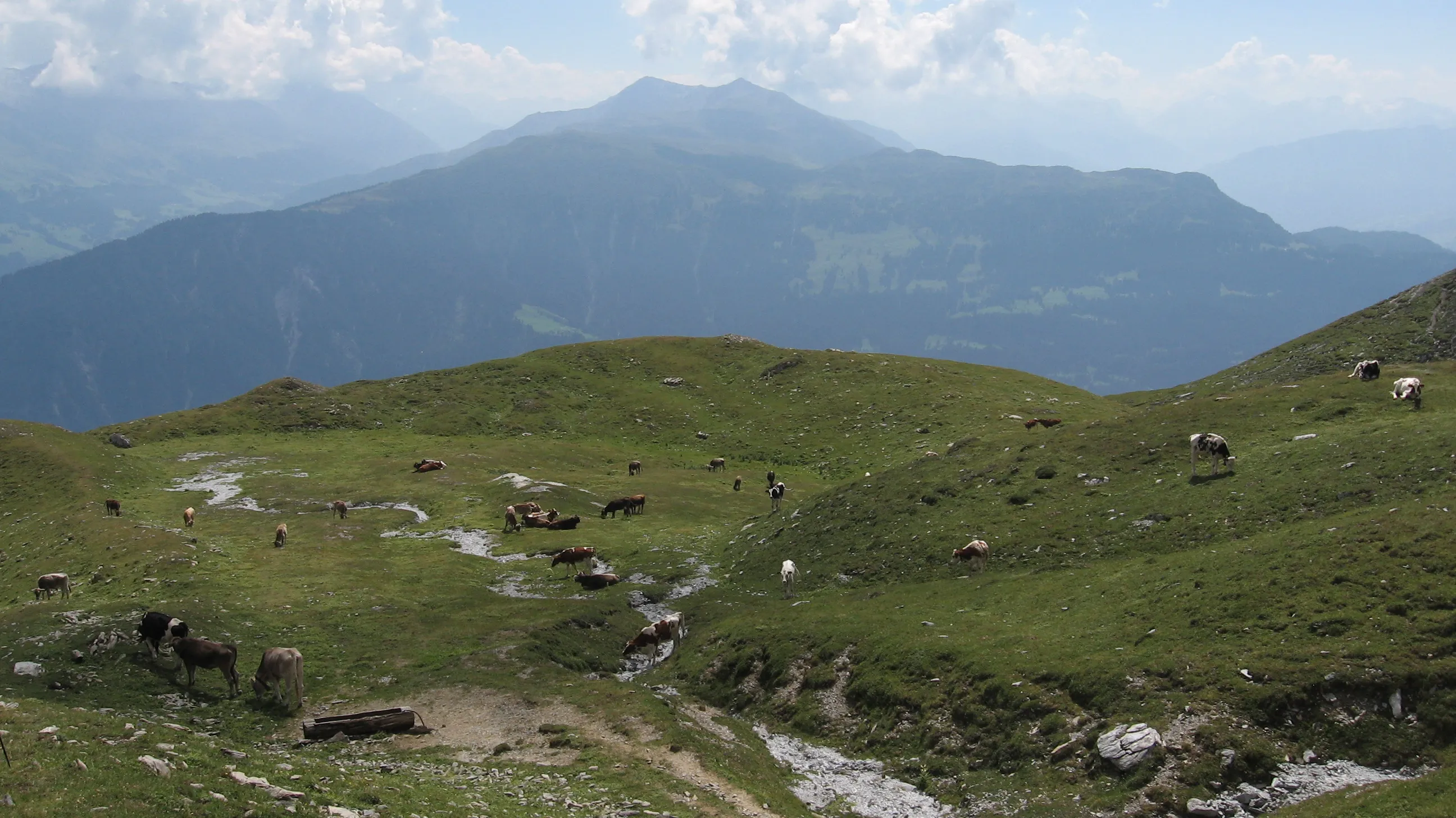 The Felsberger Älpli above Chur, with the Dreibündenstein and Stätzerhorn opposite.
