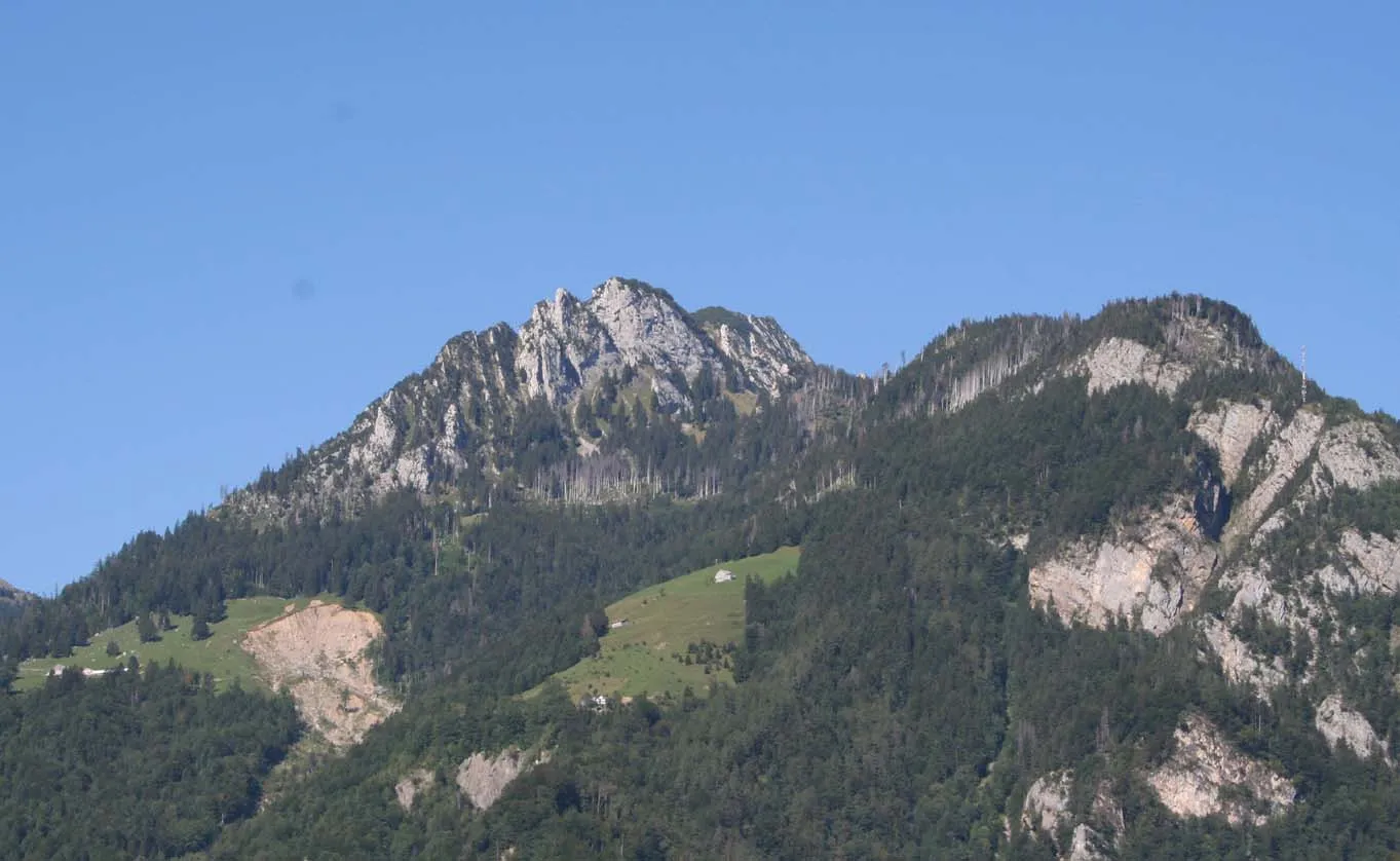The rocky summit of the Mattstock rising above the summer-green forests near Amden.
