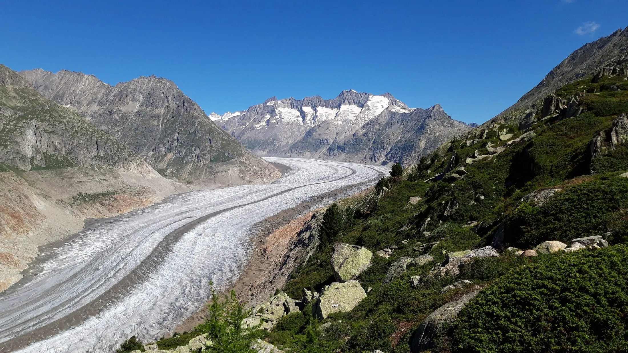 The Great Aletsch Glacier, seen from the Bettmerhorn, winding down the valley.