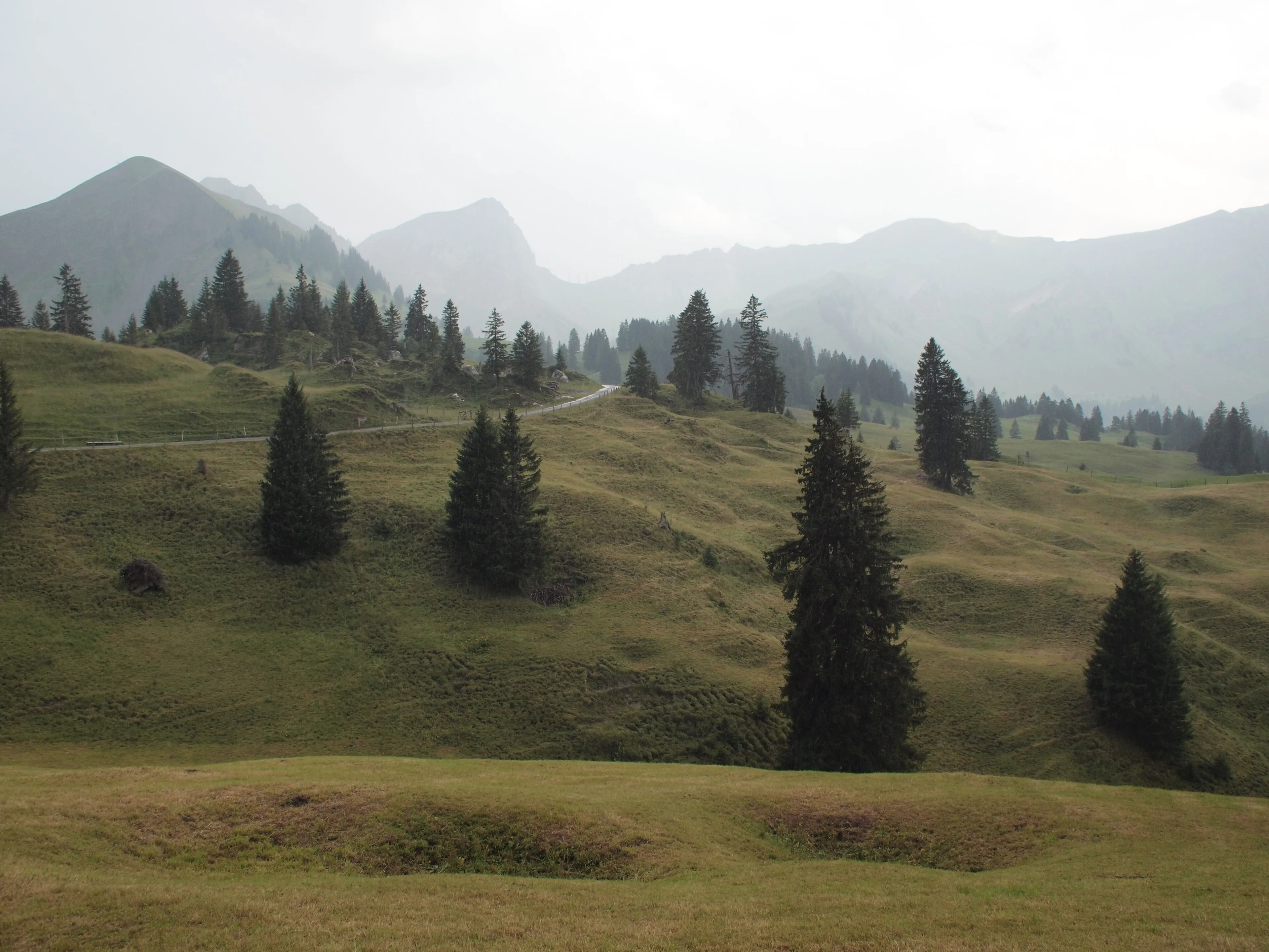 The moor-rich rolling landscape of the UNESCO Entlebuch Biosphere near the Glaubenbielen.