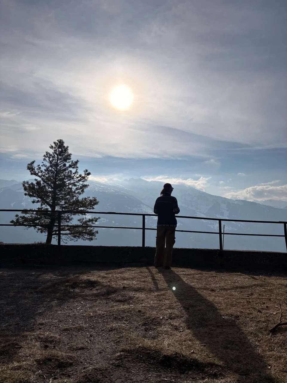 A hiker silhouetted at a railing viewpoint, watching the sun over snowy ridges beside a lone pine.