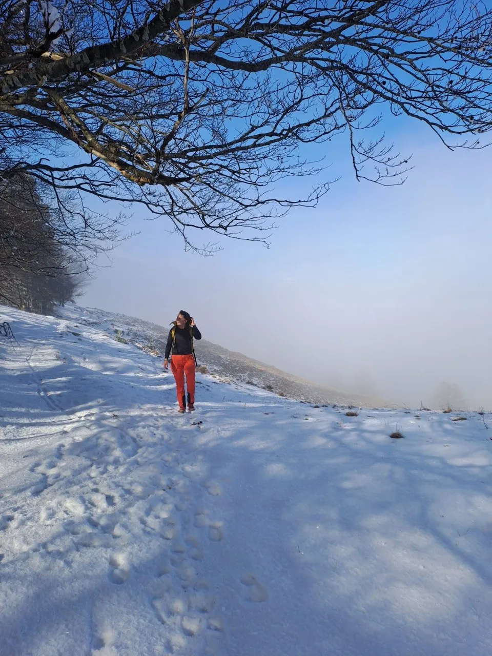 A hiker in red walks along a snowy ridge beneath bare branches, fog settled in the valley below.