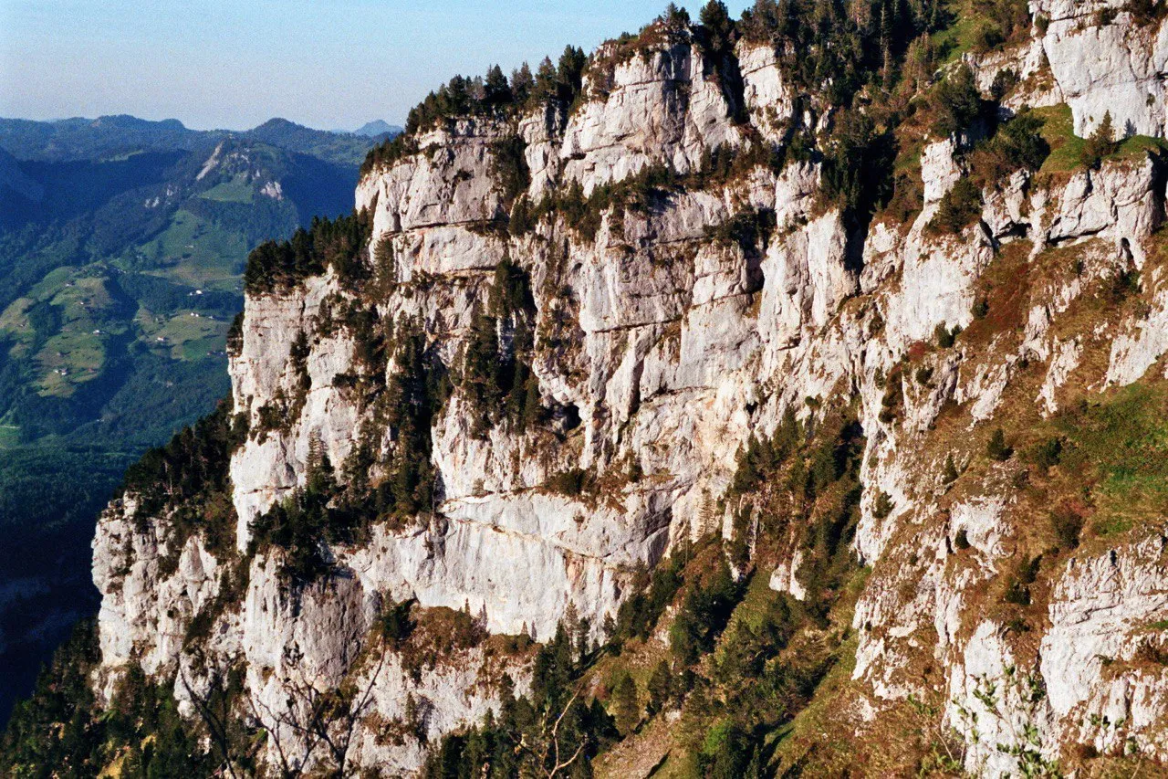 A tall, pale banded limestone cliff studded with lone pines, green alpine pastures far below.