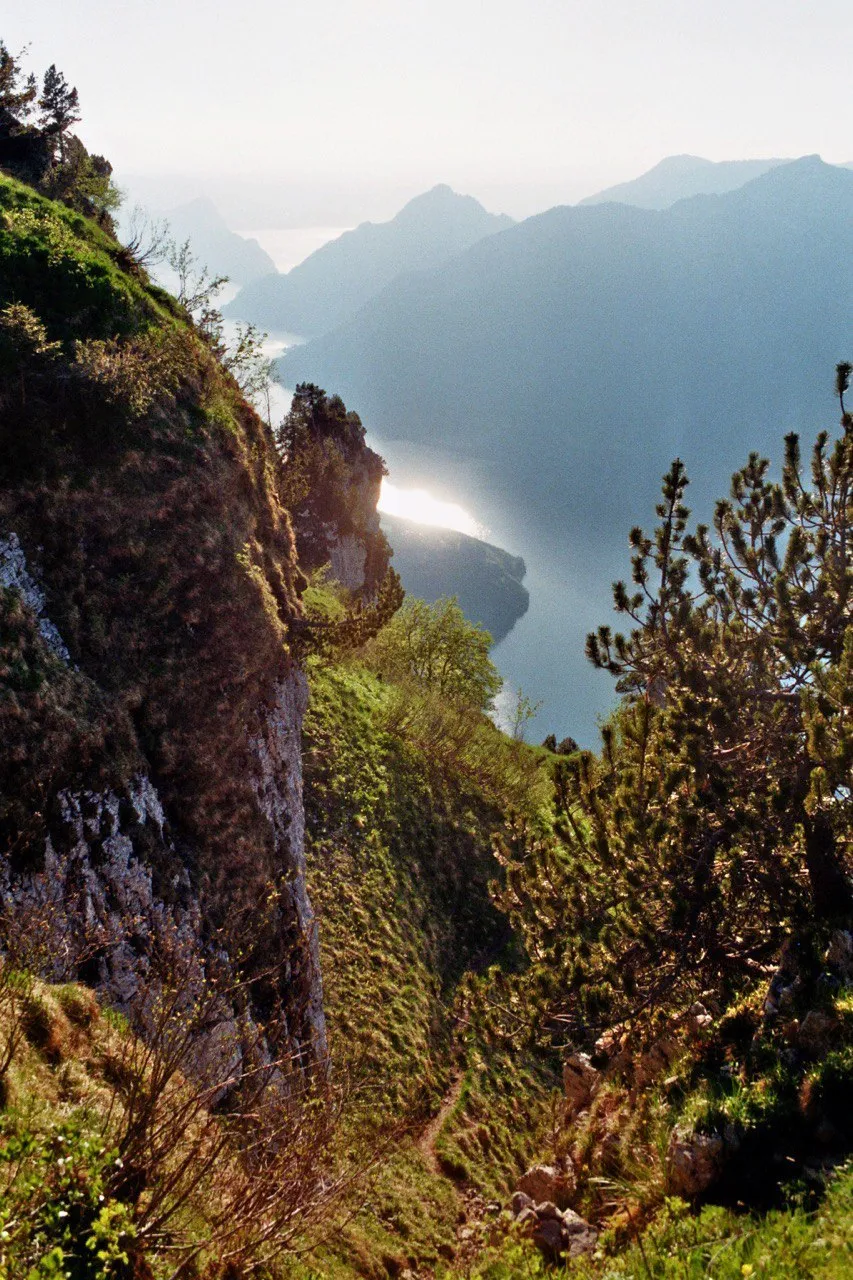 A view down through vegetated crags to the lake, its water flaring silver in the low sunlight.