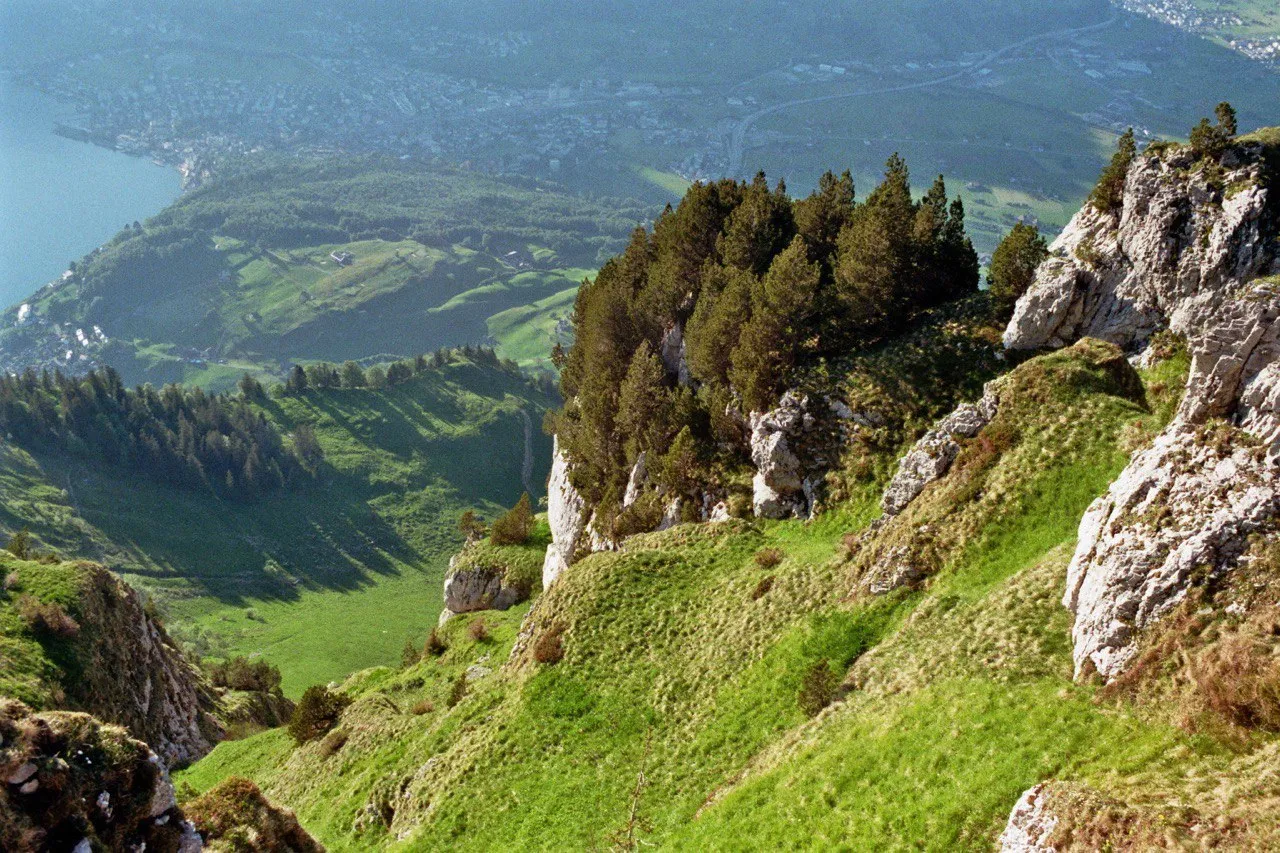 Looking down a steep green flank dotted with pines to meadows, farms and the lake deep in the valley.