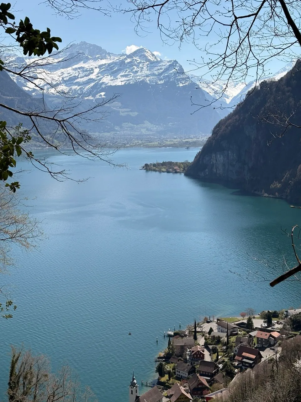 Through bare branches, a view across the turquoise Urnersee to snow-capped mountains, with a lakeside village and church tower below.
