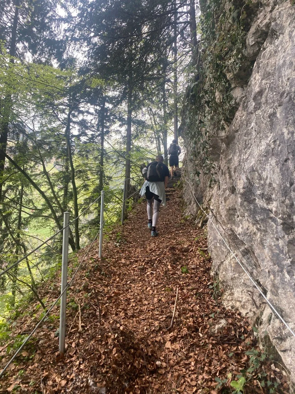 A narrow trail secured with a steel cable runs along a pale rock face through dense leaf litter on the slope.
