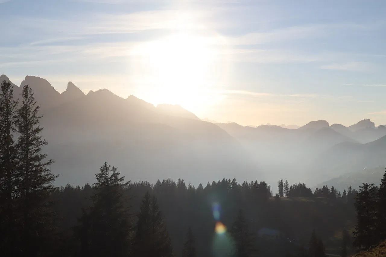 Low sun over the layered ridgelines of the Alpstein, a conifer forest in the hazy foreground.