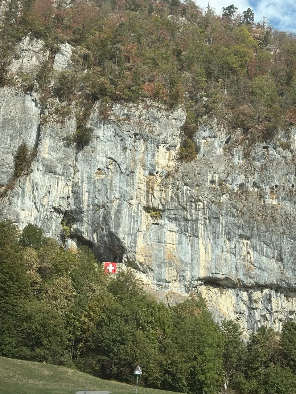 The grey limestone south face of the Balmflue with vertical water grooves and pockets, a large Swiss flag hanging in the wall, and autumn-tinged beech forest at its foot.
