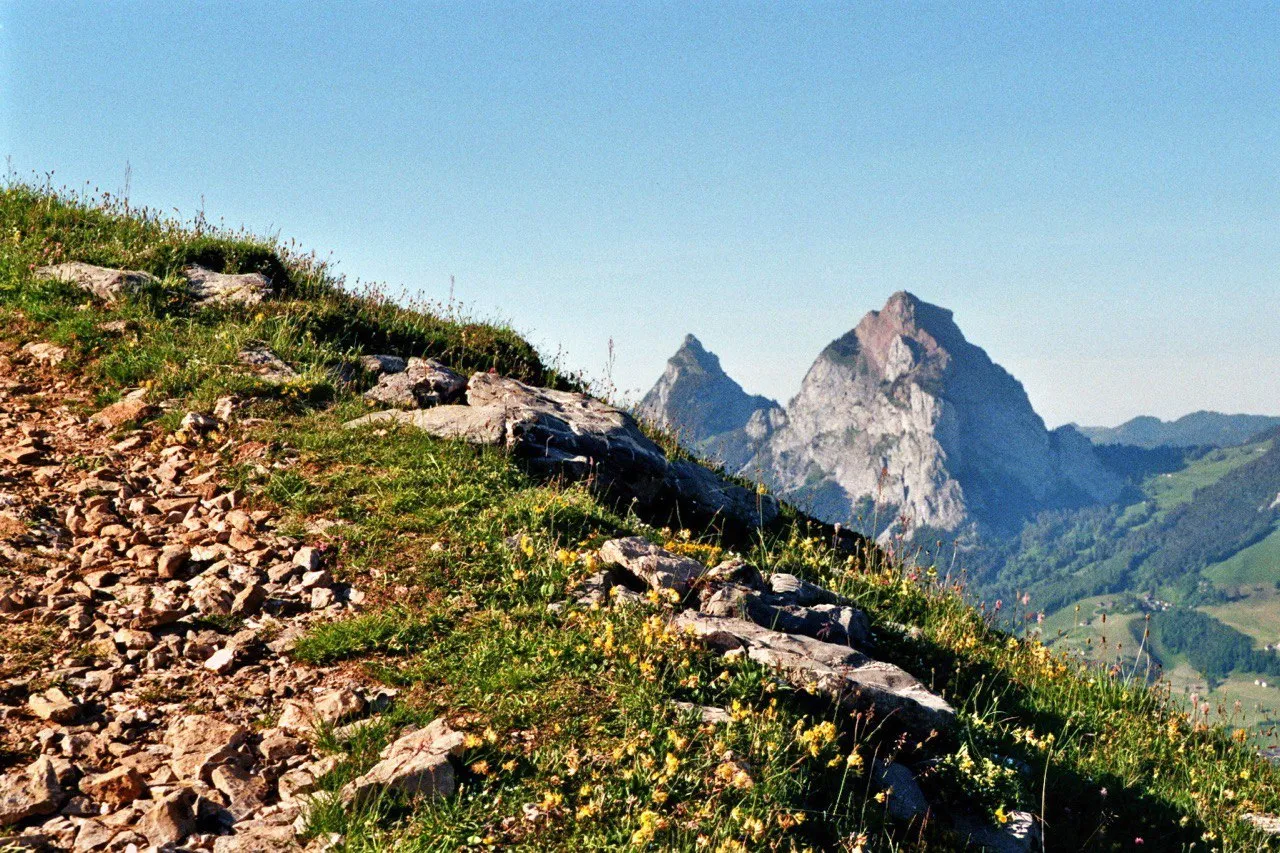 A stony path across a flowering grass flank, with the Grosser and Kleiner Mythen rising in the clear morning light behind.