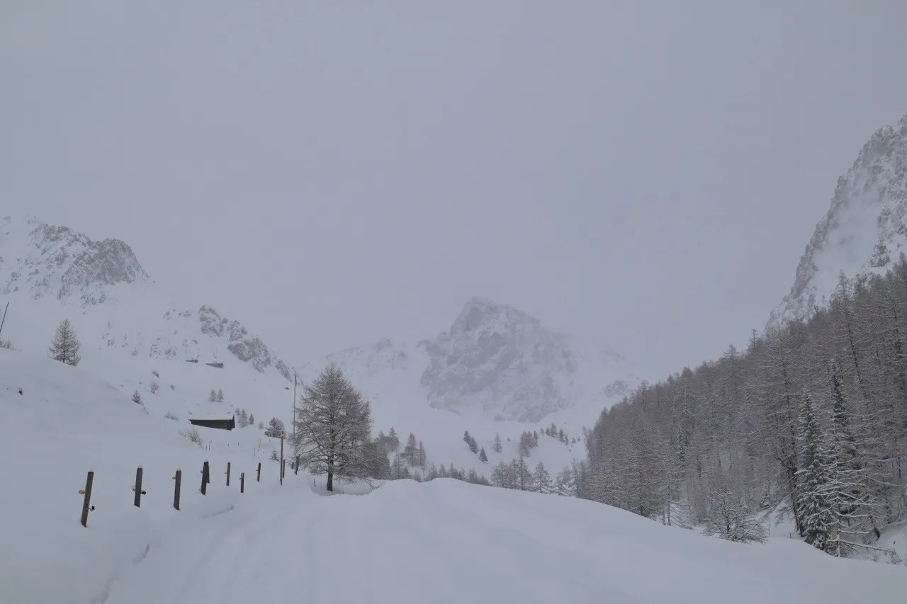 A misty winter valley with a snowed-over track, frosted larches, and a rocky peak half-hidden by low cloud and falling snow.