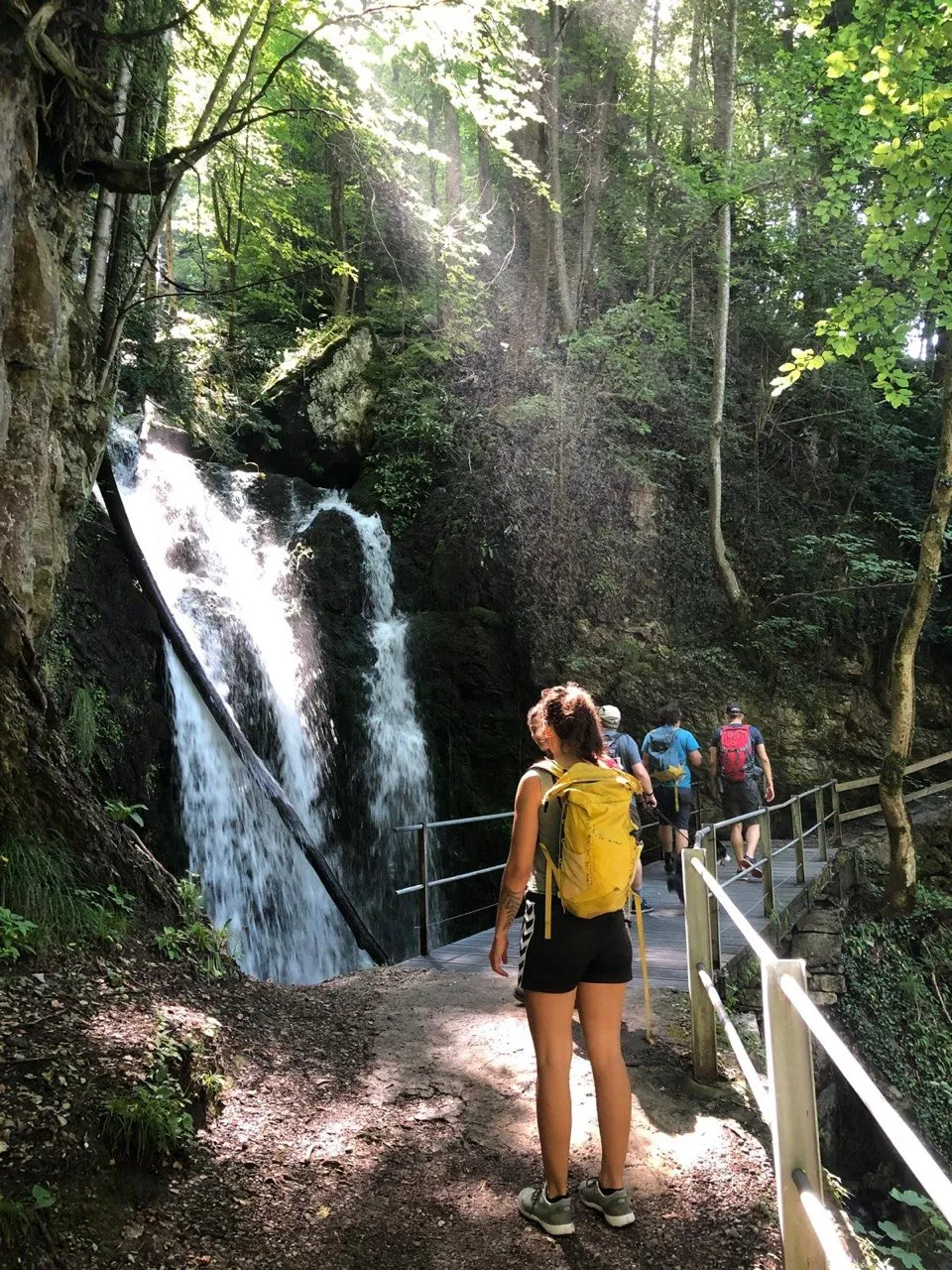 A hiker with a yellow backpack stands on a boardwalk in front of a waterfall in the forest.