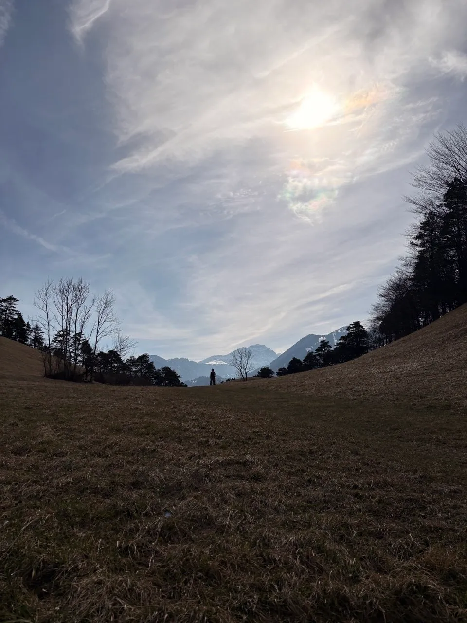 A small figure stands in a wide brown spring meadow, distant mountains hazy beneath a bright sun.