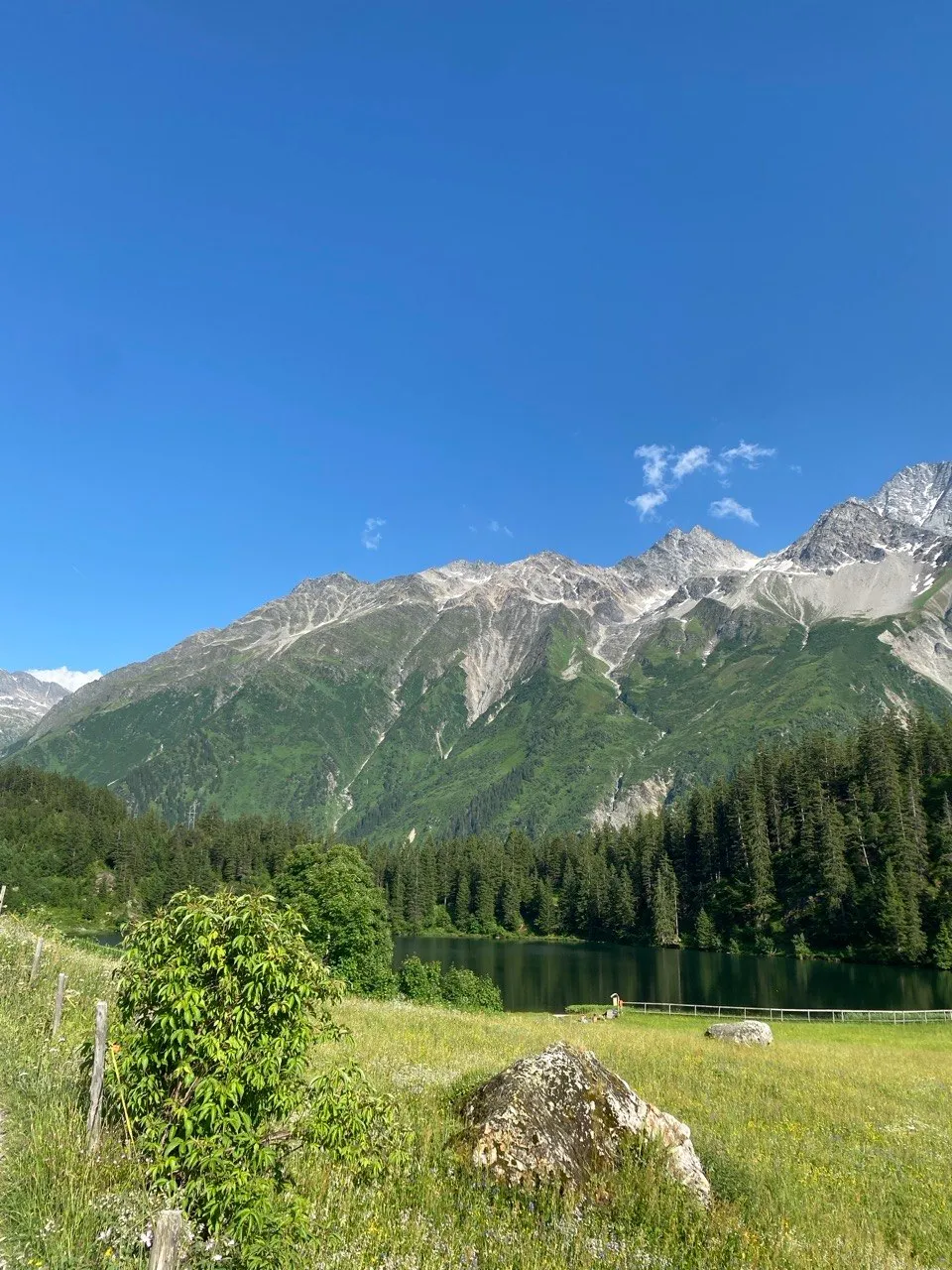 A view across a green meadow toward Golzerensee, framed by dense forest and a snow-flecked mountain massif.