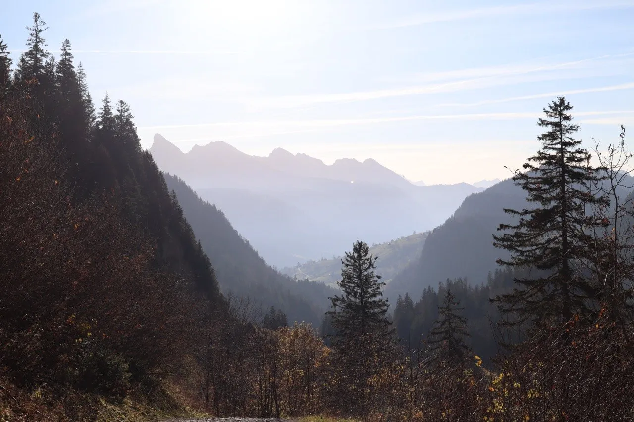 A hazy valley view through autumn forest towards the peaks of the Alpstein.