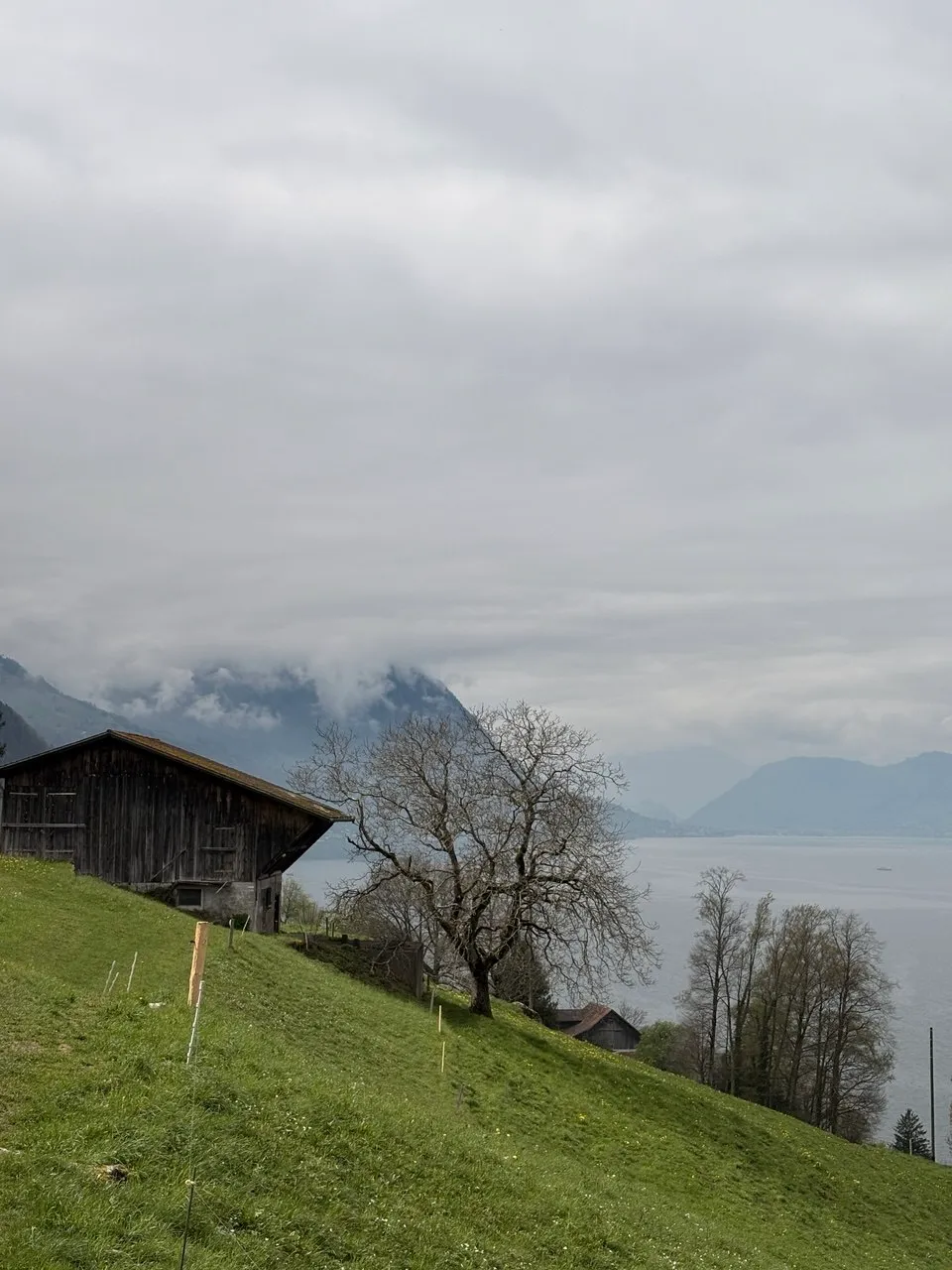 A weathered wooden barn on a steep green meadow above the lake, a bare tree beside it under a heavy grey sky.