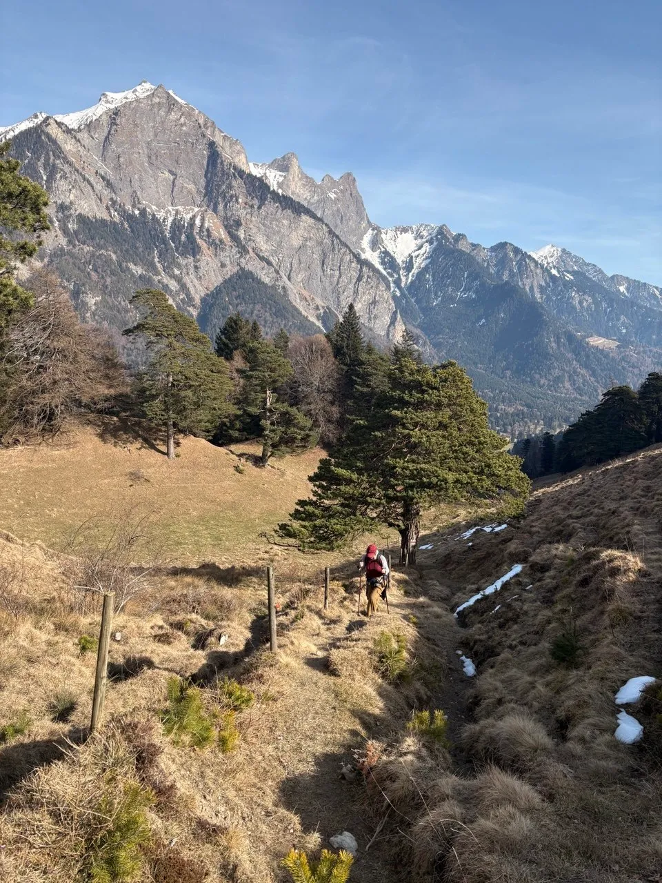 A hiker and a dog follow a narrow trail past pines, with a steep snow-capped massif rising behind.