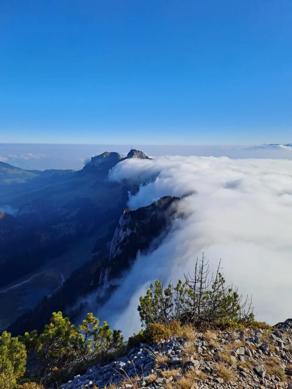 Clouds pouring over a rocky ridge like a slow waterfall, the Säntis behind, pines on a stony foreground.