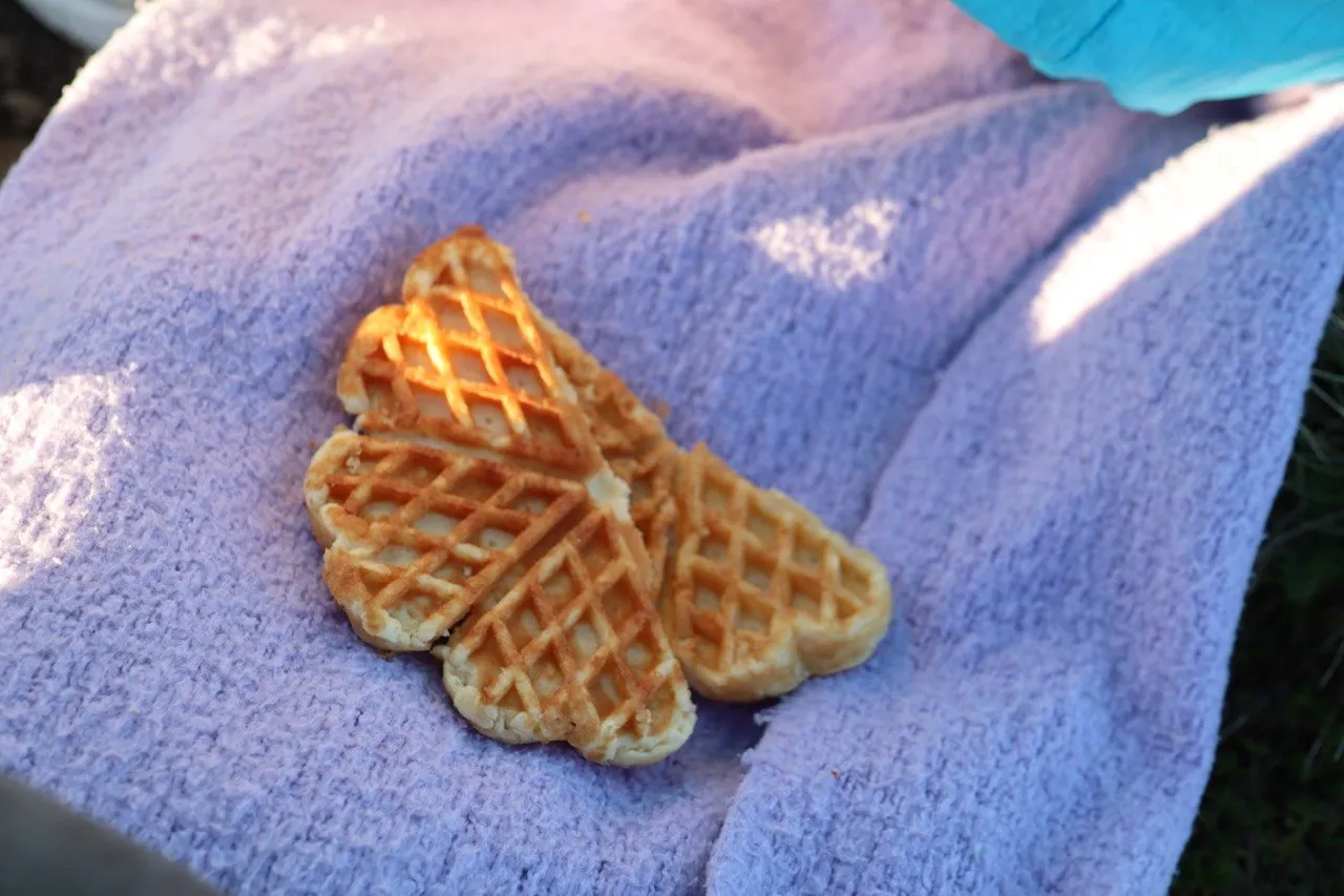 A butterfly-shaped waffle, a well-earned summit snack.