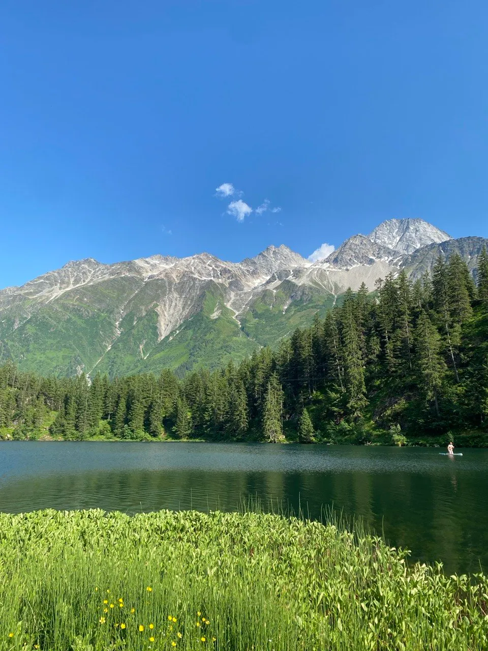 A calm mountain lake surrounded by conifer forest, with snow-capped peaks in the background.