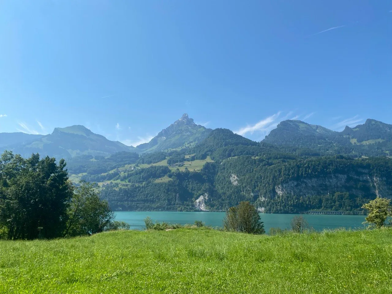 View across a green meadow to the turquoise Walensee, with rugged mountain peaks behind it.