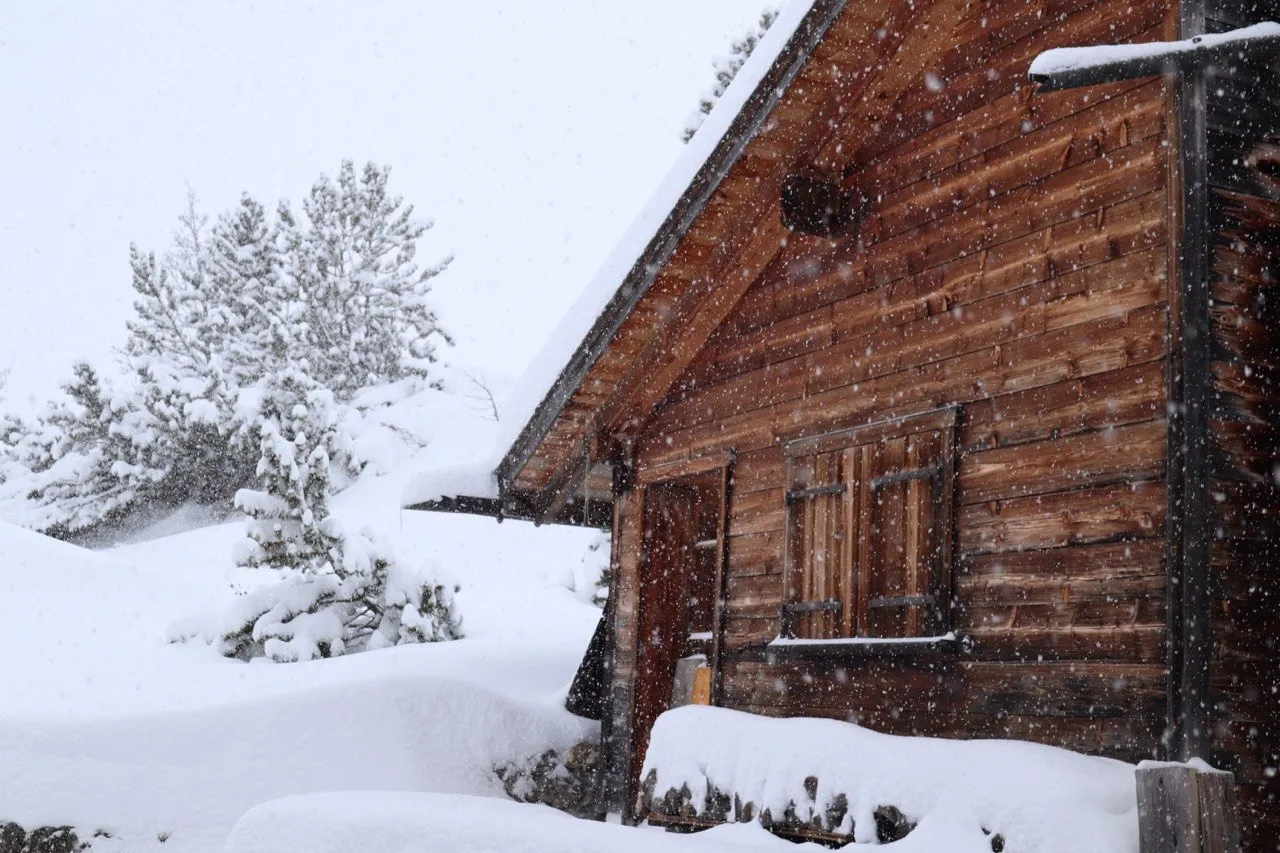 A weathered timber chalet with closed shutters half-buried in deep snow, a snow-laden conifer beside it.