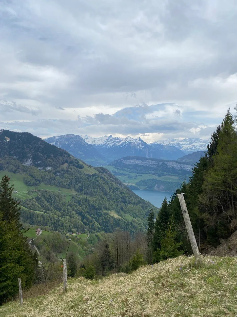A view over green slopes to the lake, with snow-capped Alpine peaks on the horizon under a heavy cloud cover.