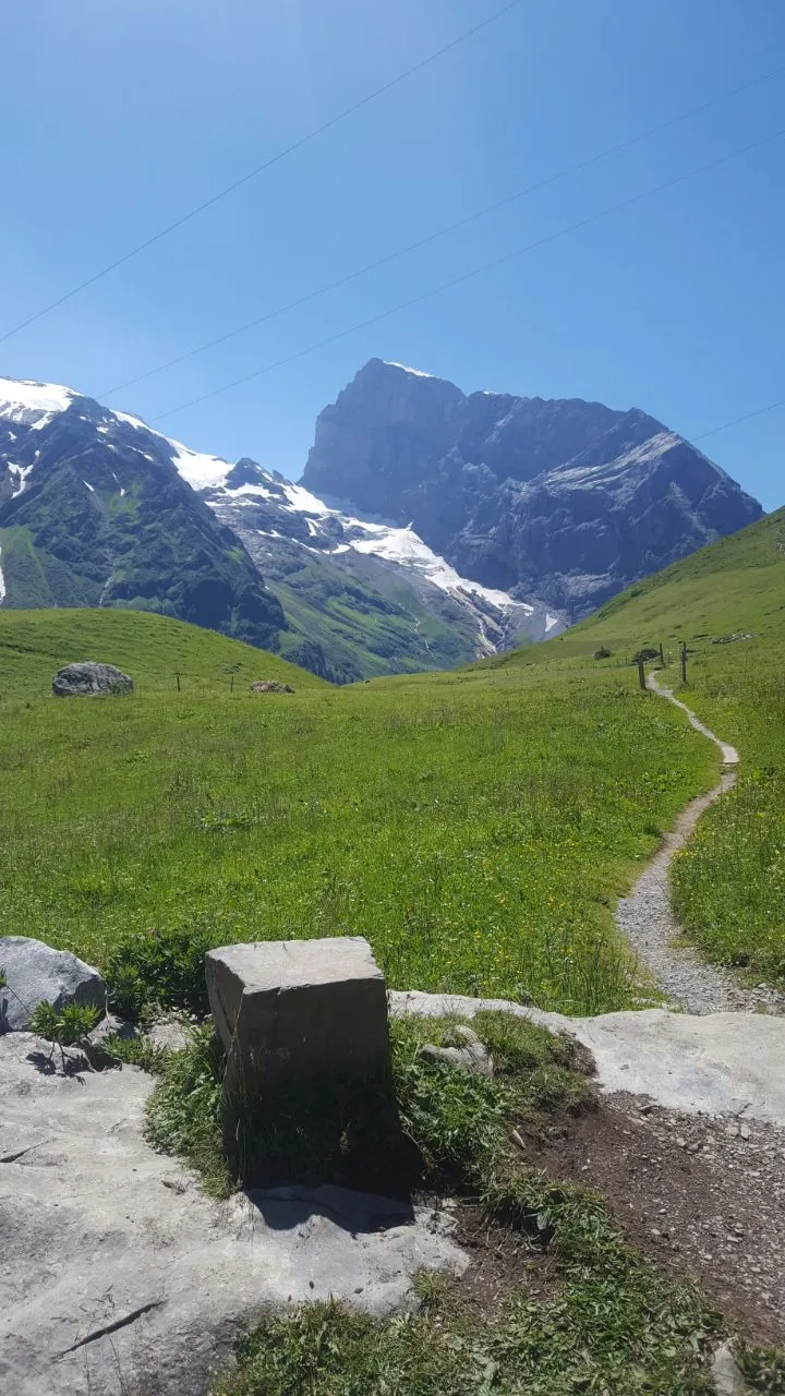 A narrow gravel path winds through a green flower meadow toward a striking rock peak streaked with residual snow.
