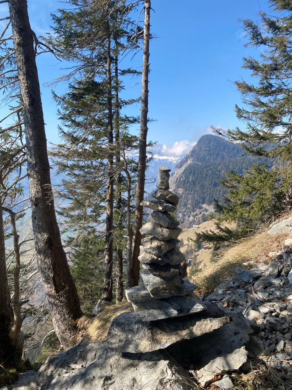A stone cairn among slender trees, a snow-capped peak rising behind it under a blue sky.